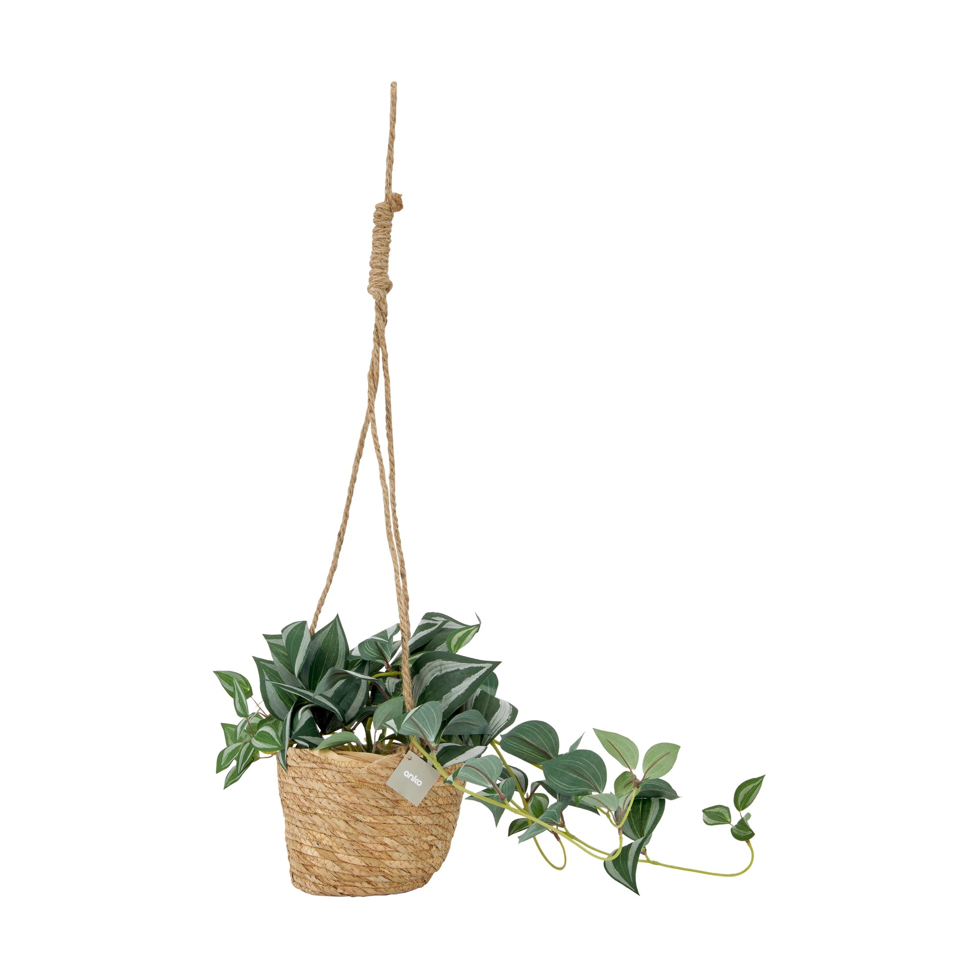 5 Artificial Zebrina in Hanging Pot, 5 of 5