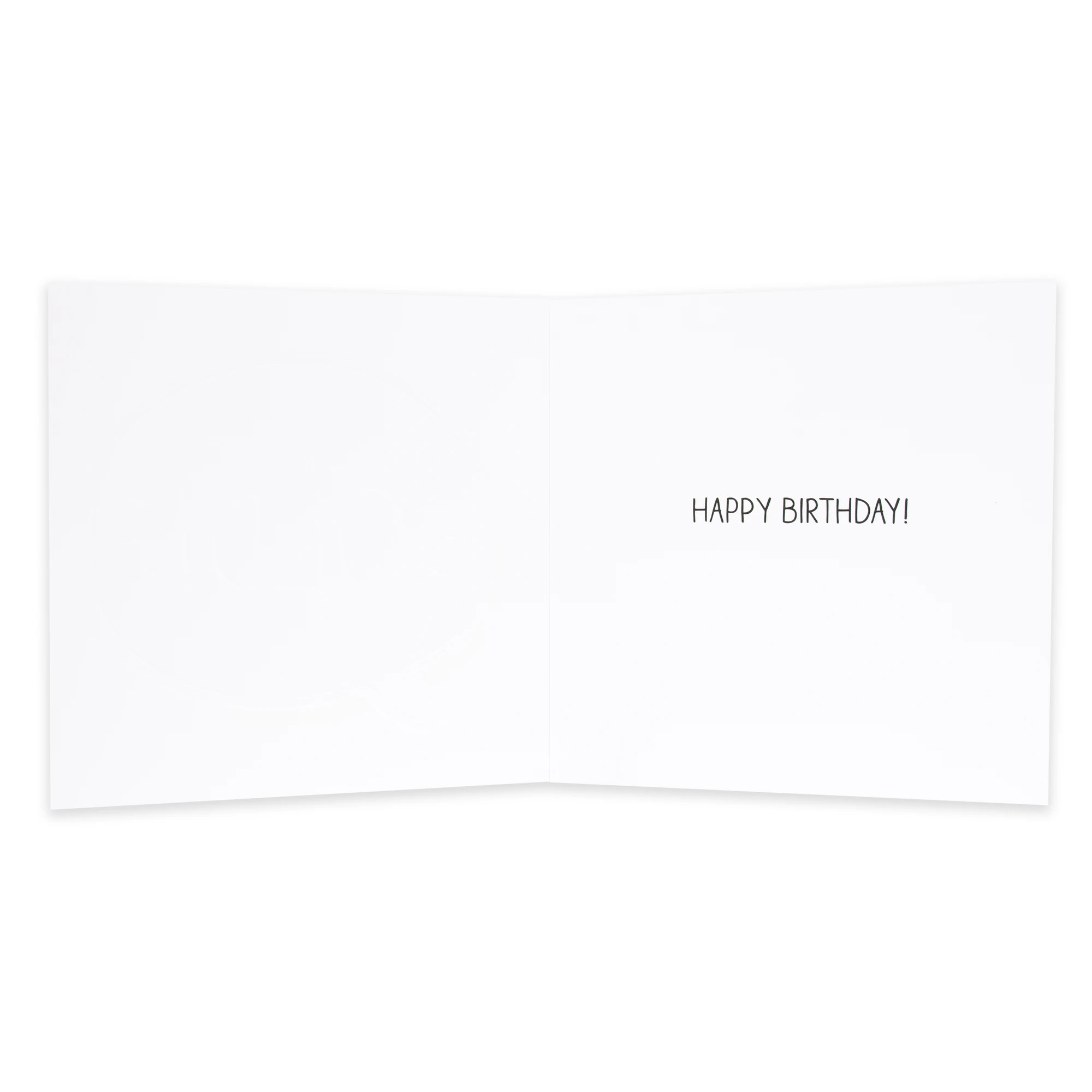 2 Hallmark Happy Birthday Card - You're Not Old, 2 of 2