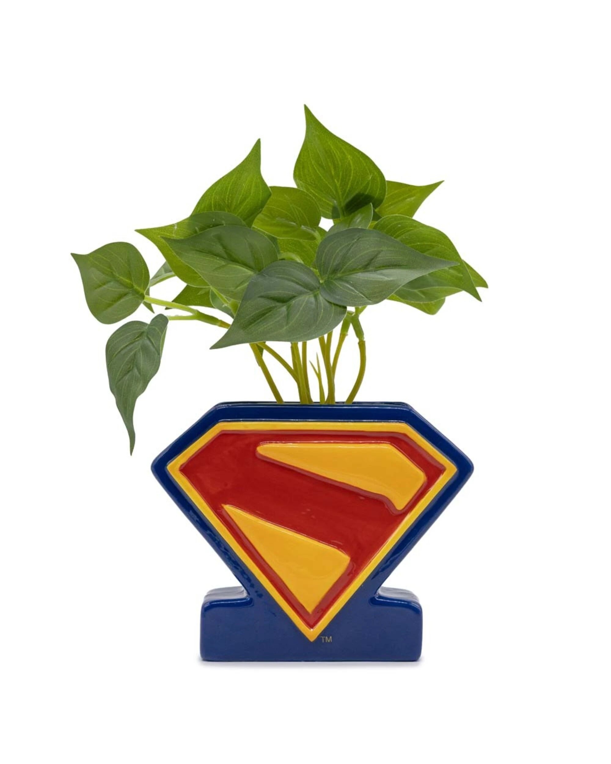 1 DC Comics - Superman - Shield Plant & Planter, 1 of 1