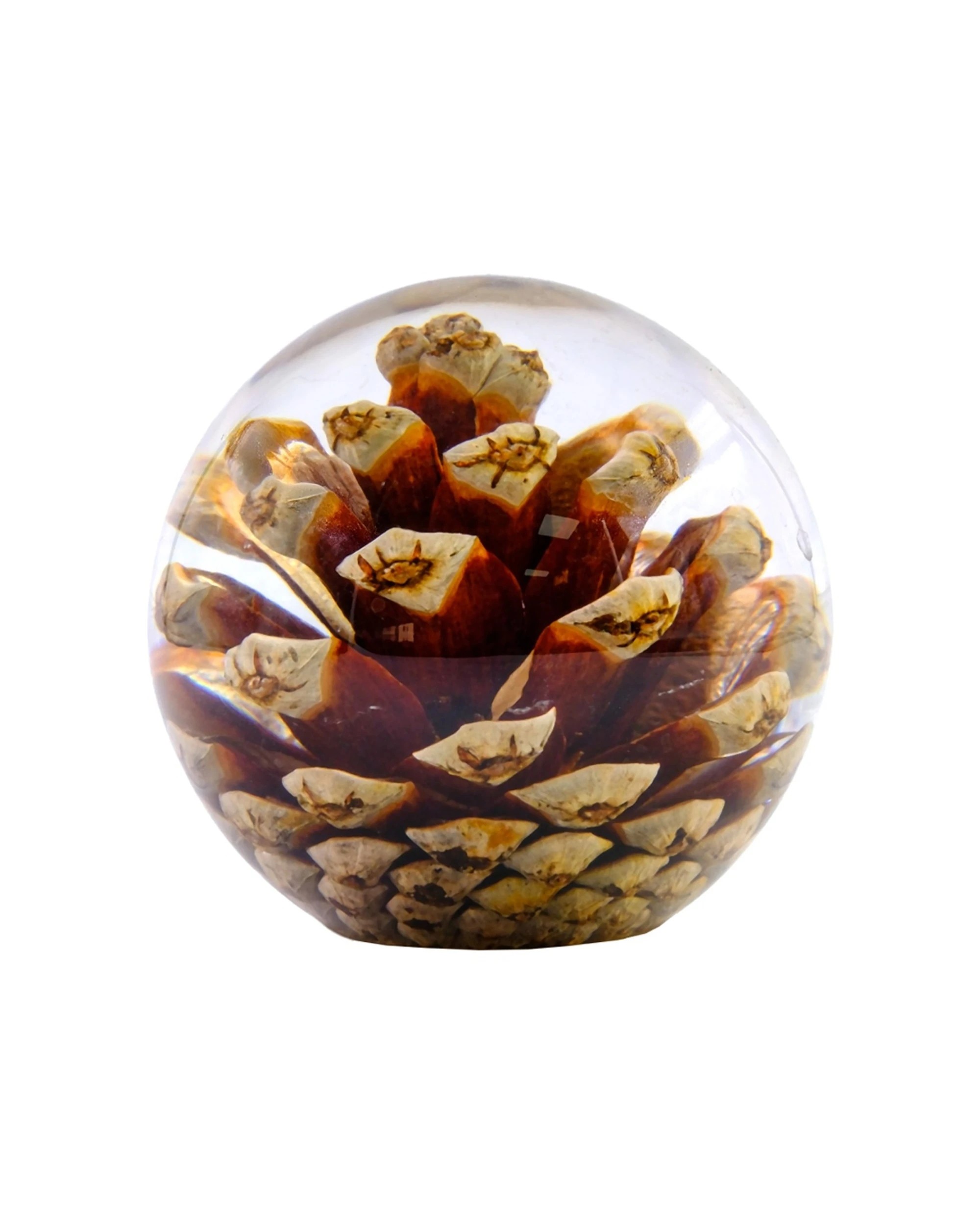 1 Leni Handcrafted Floral Resin Sphere With Real Pinecone 8x7.5cm - Natural, 1 of 1