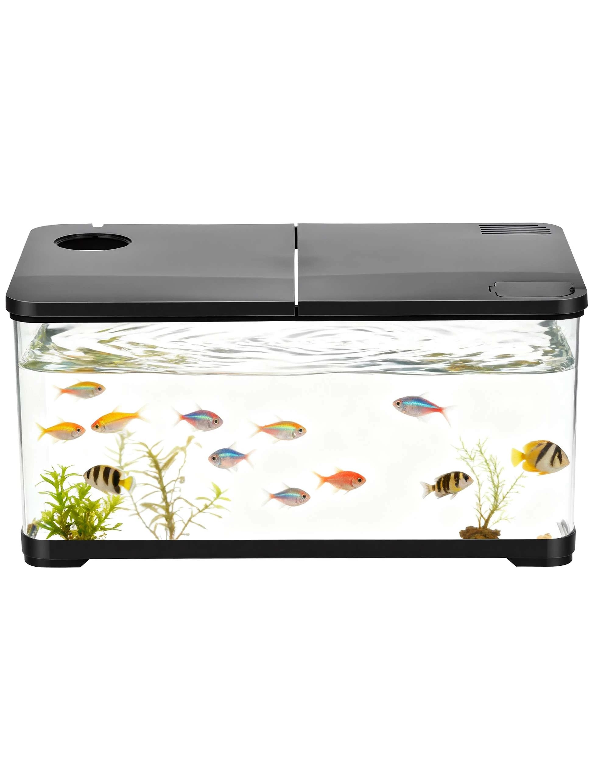 5 Advwin 50L Fish Tank Aquarium Kit with Light, 5 of 8