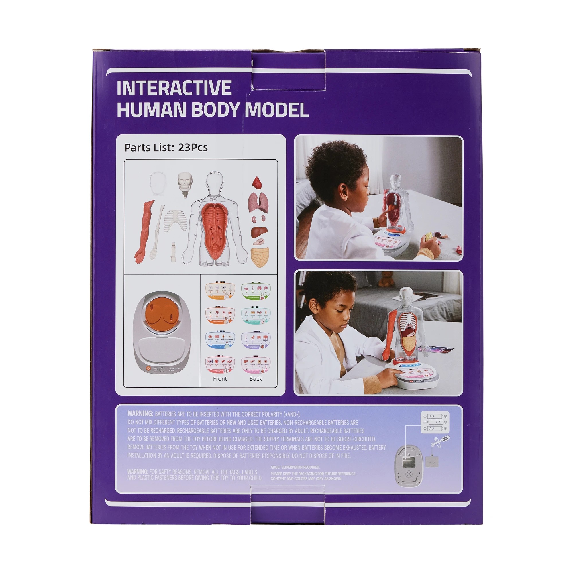10 Interactive Human Body Model, 10 of 10