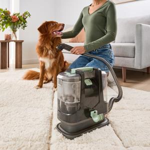 Shoe Cleaner Mesh Laundry Bag Kmart Spot Cleaner Kmart