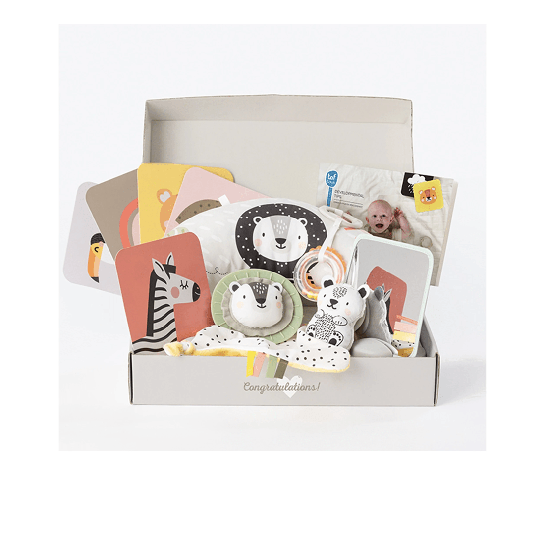 2 Taf Toys Develop And Play Kit Educational Infant Baby Toy 0 Months Plus
 - Multi, 2 of 9