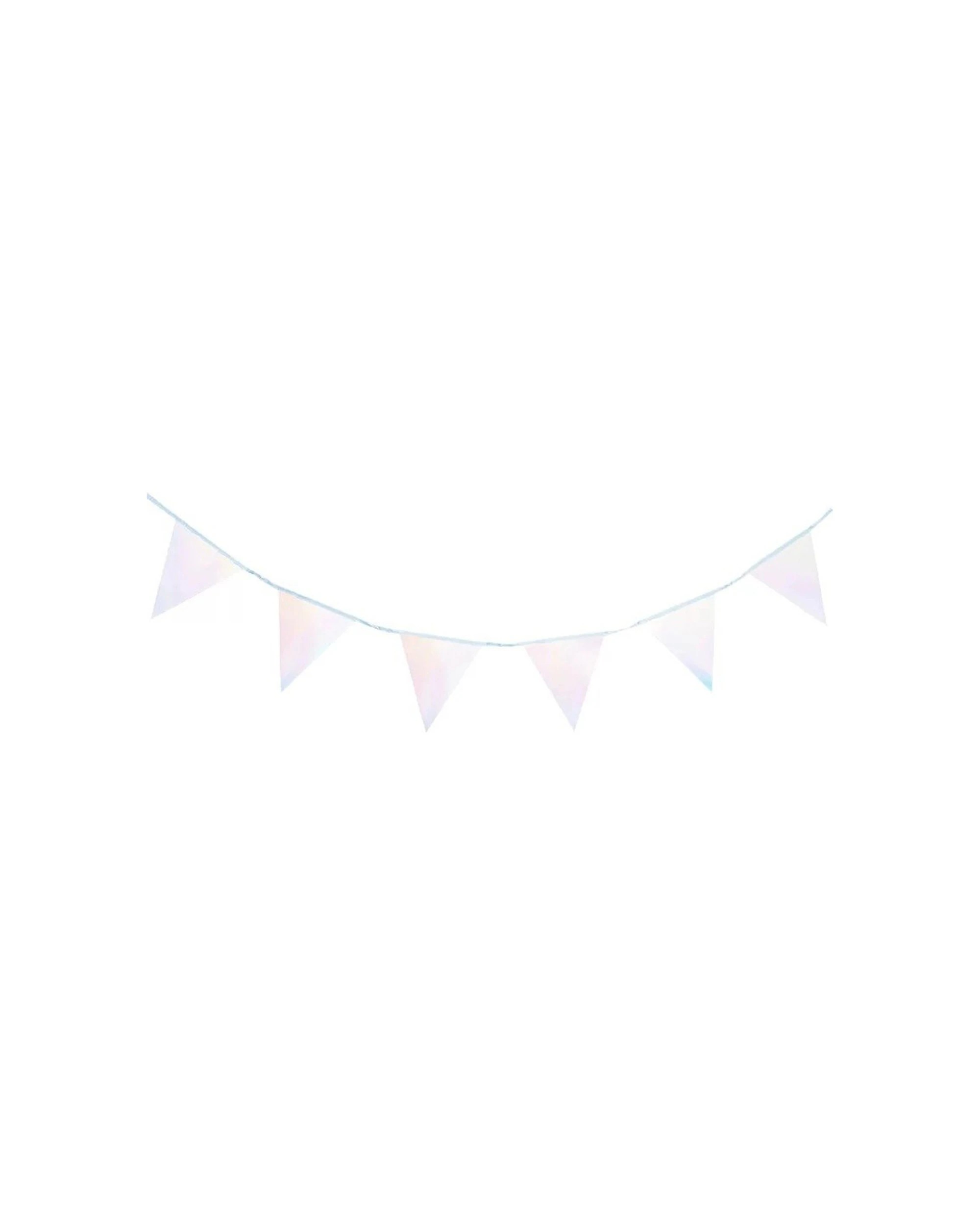 1 Party Maker Iridescent Bunting Decoration Accessory - Silver, 1 of 1