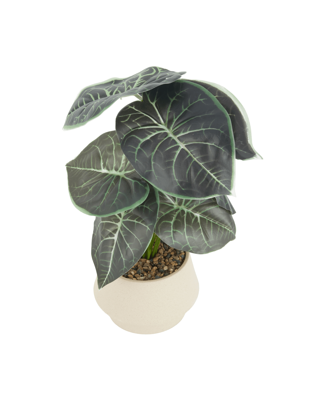 2 Artificial Alocasia in Pot, 2 of 4