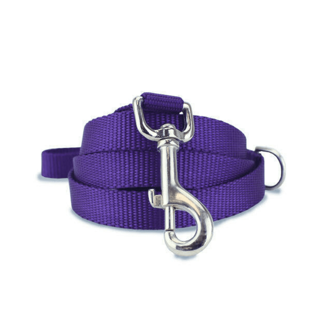 2 BR Pets Plain Nylon Dog Leash Lead Training Obedience Recall Walk - Assorted Colours - Medium (2.0cm Width/1.2m Long), 2 of 8