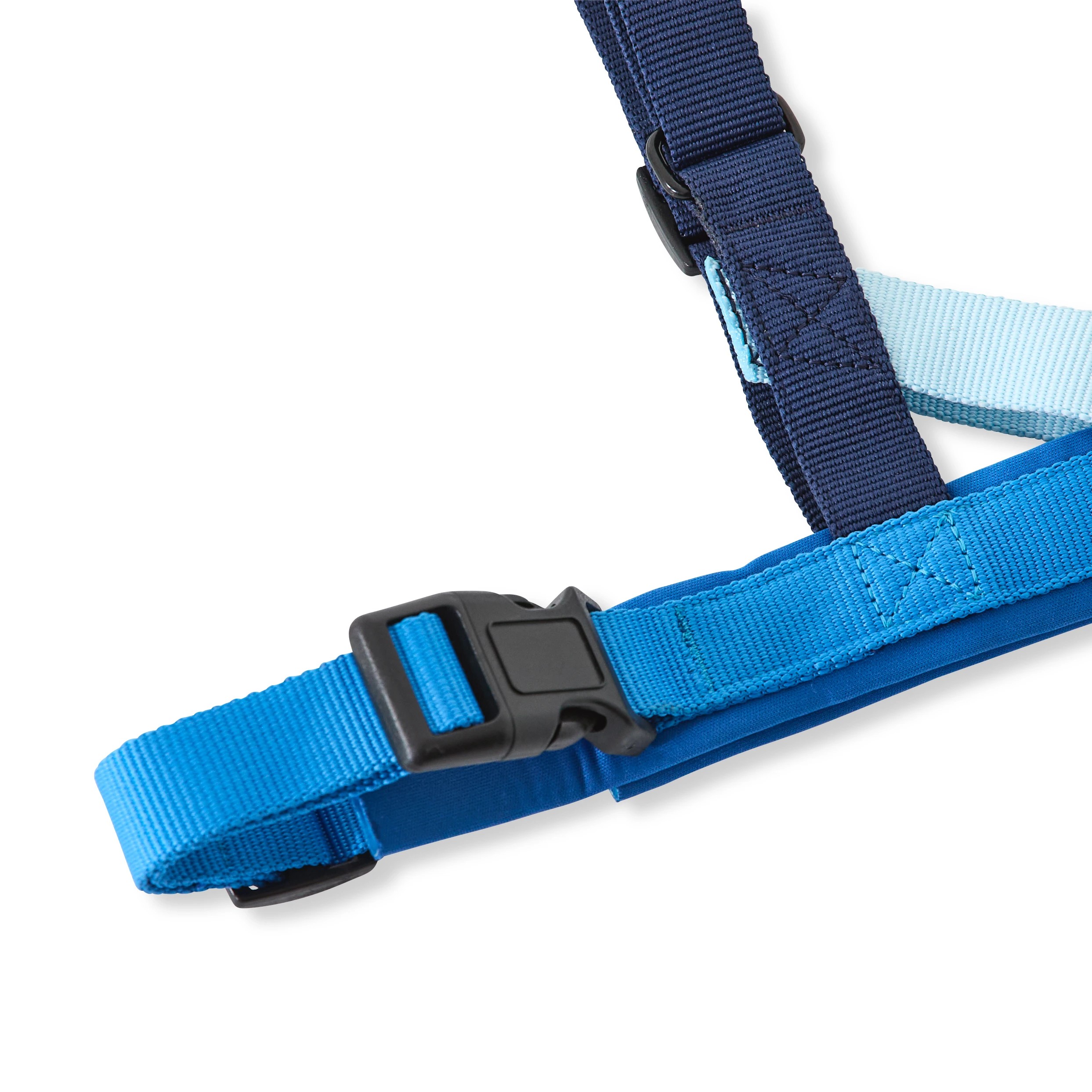 4 Pet Walking Set - Blue, Medium, 4 of 5