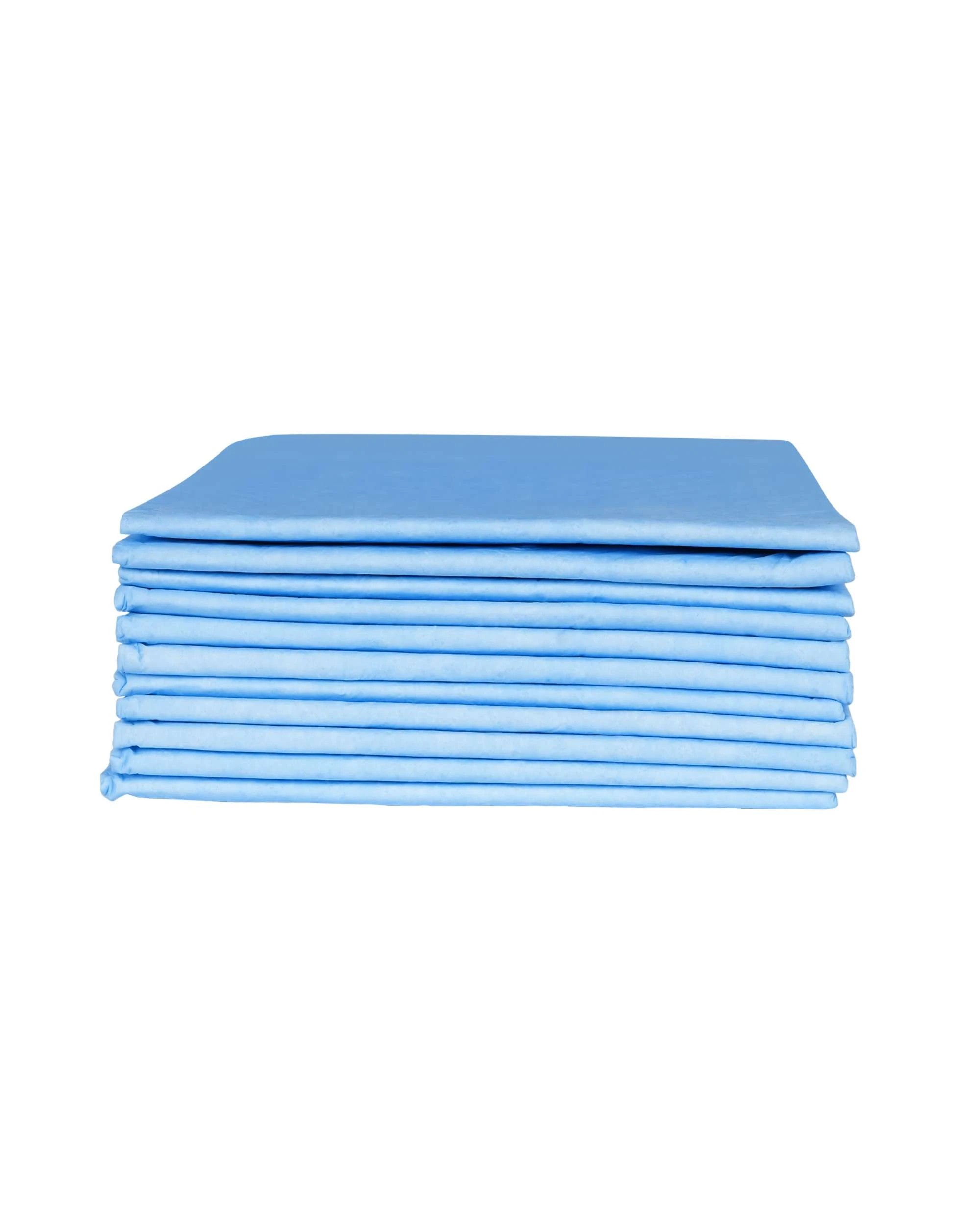 1 Advwin Pet Training Pads Pee Pad 100PCS, 1 of 6