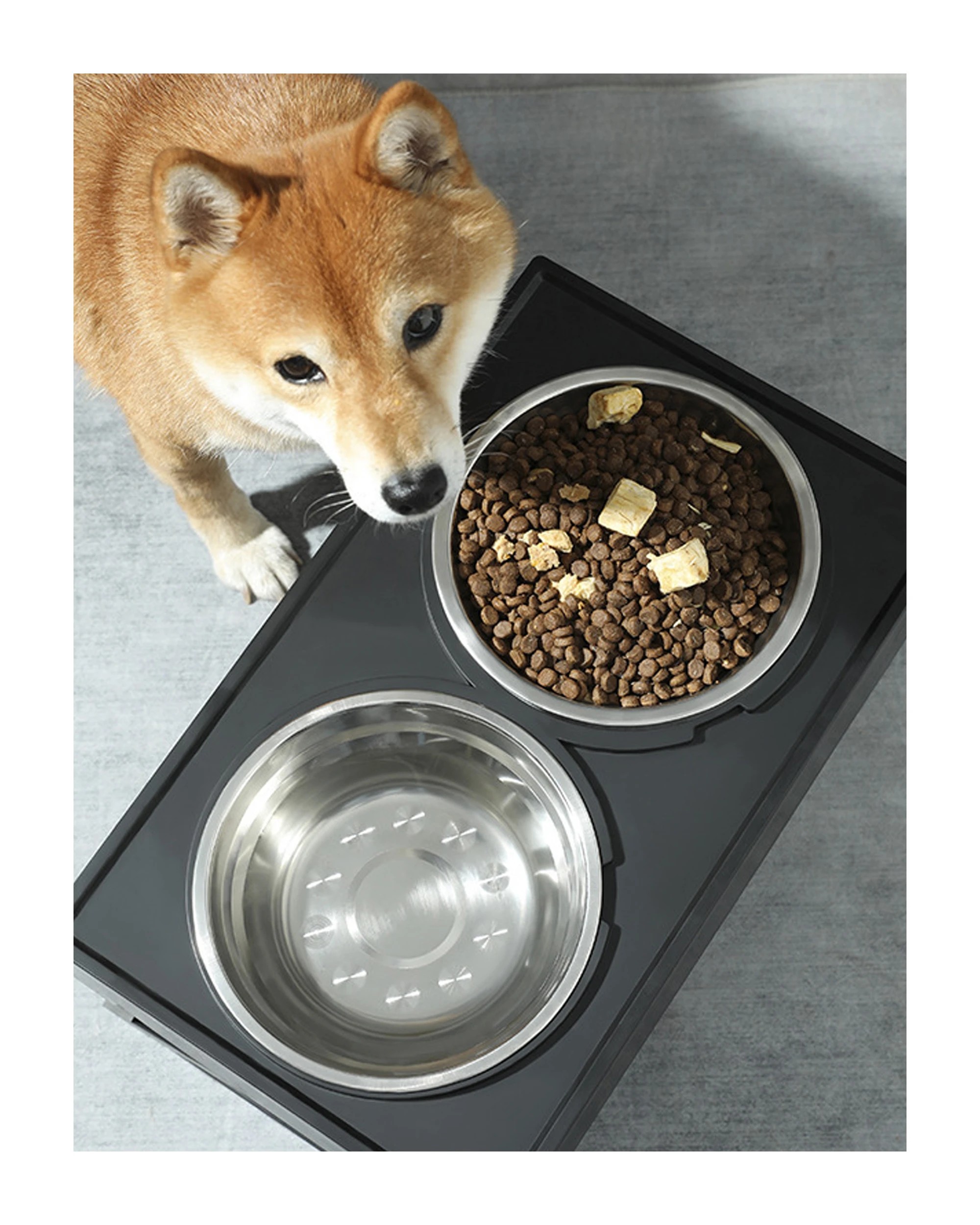 3 TODO Pet Food Bowl Pet Feeder Water Bowl Adjustable Height Elevated Dog Cat Food Bowl, 3 of 4