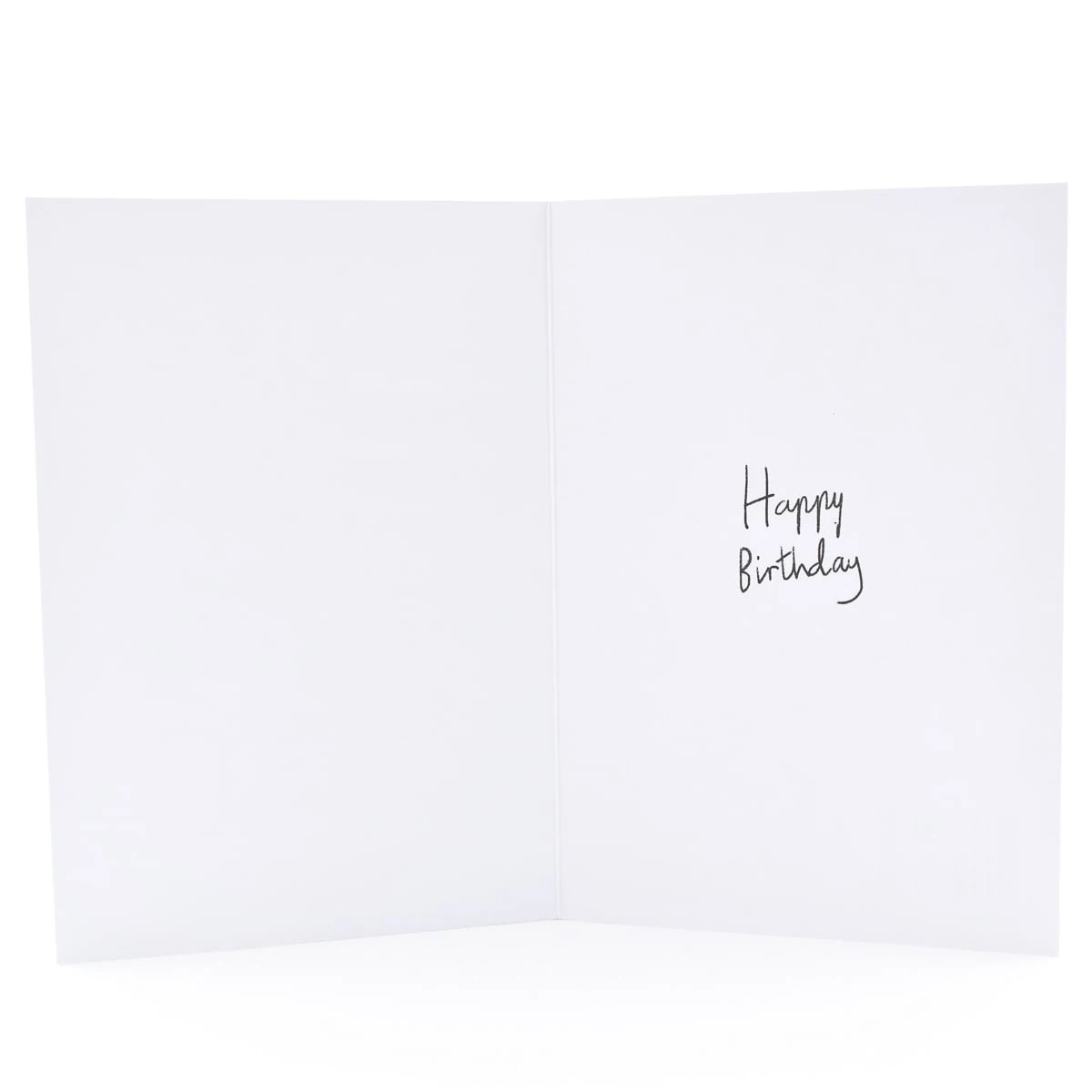 3 Hallmark Birthday Card For Sister - Party Cat, 3 of 3