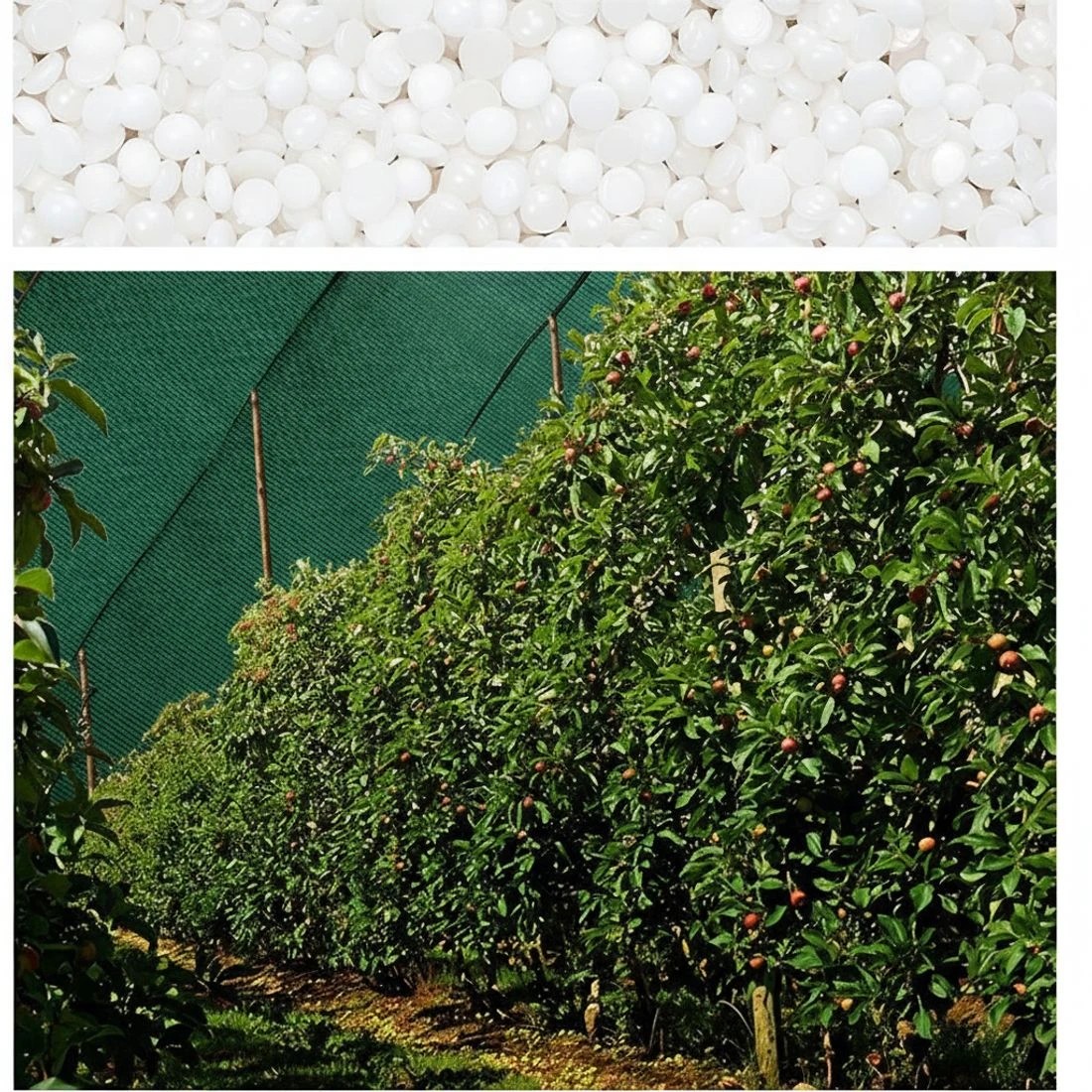 3 Instahut 90% Shade Cloth 3.66x20m Shadecloth Sail Heavy Duty - Green, 3 of 5