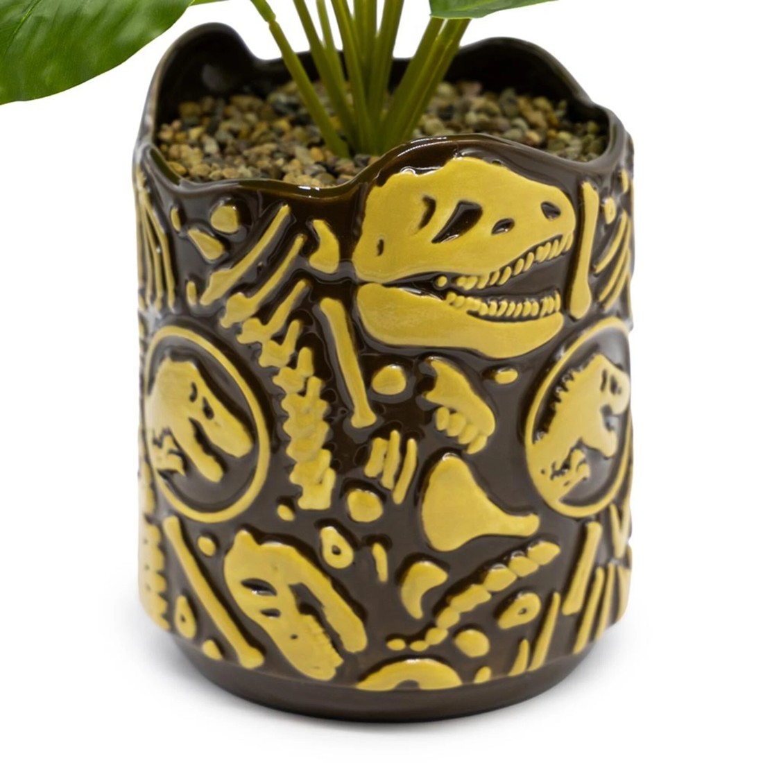 4 Jurassic Park - Fossils Planter Pot with Plant - Brown, 4 of 4