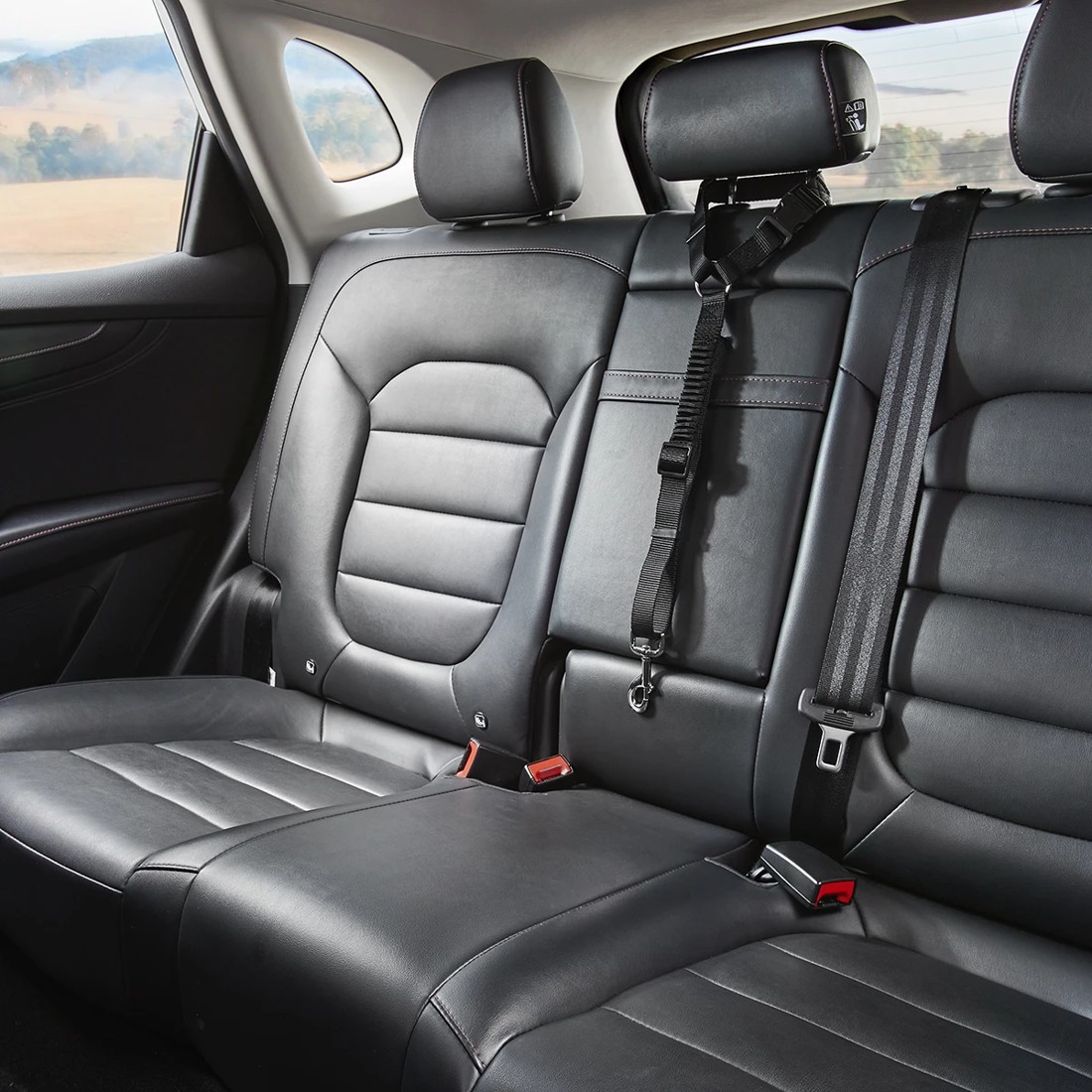 3 Pet Car Head Rest Tether, 3 of 9