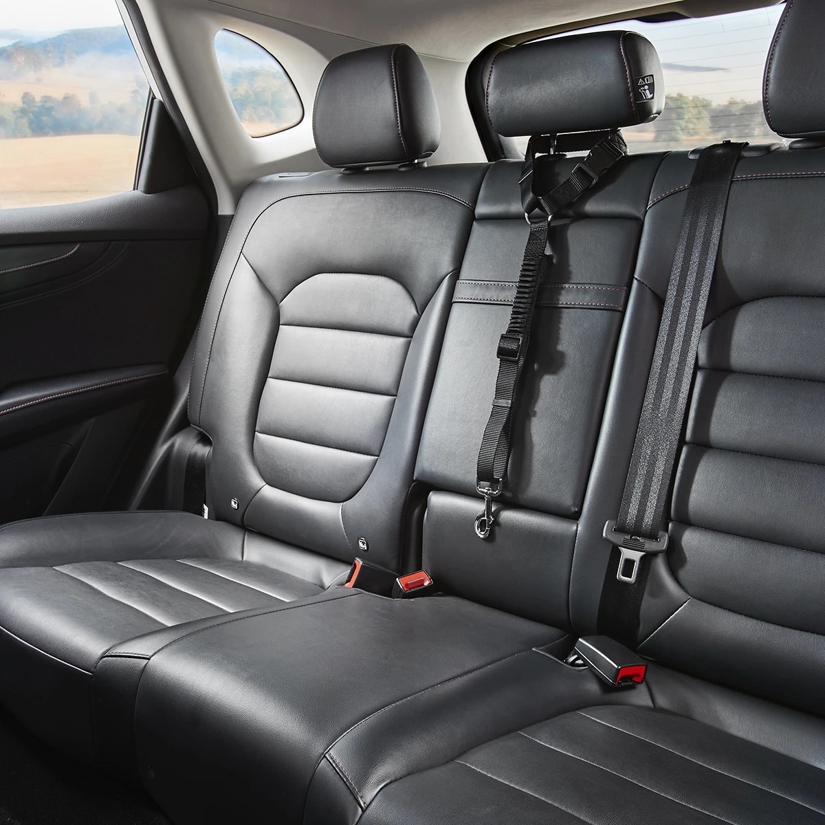 3 Pet Car Head Rest Tether, 3 of 9