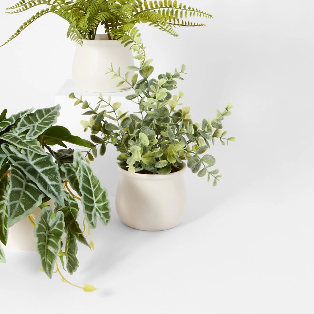 6 Artificial Dollar Gum Eucalyptus in Pot, 6 of 6