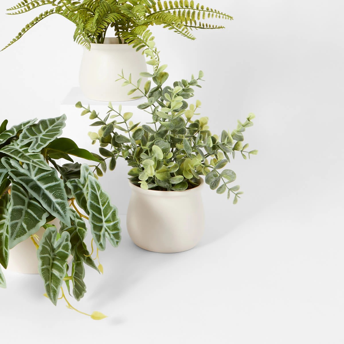 6 Artificial Dollar Gum Eucalyptus in Pot, 6 of 6