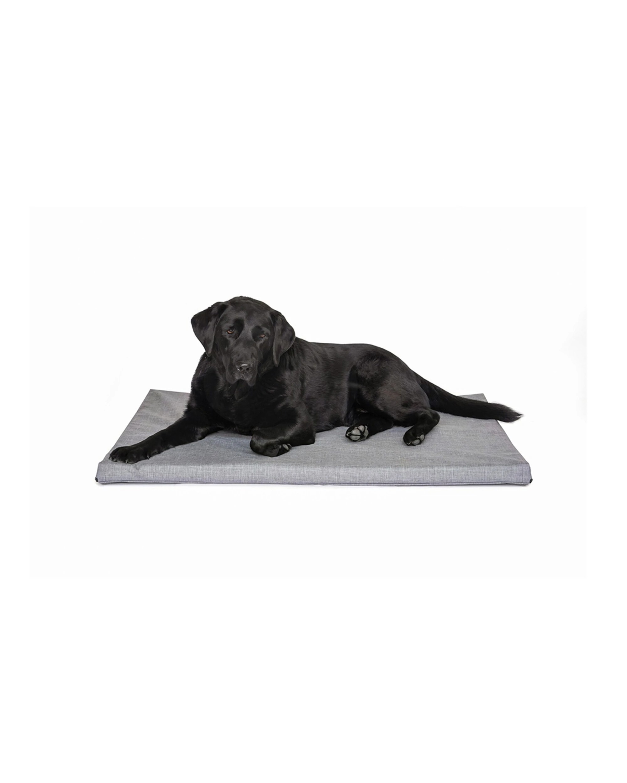 3 SUPERIOR PET GOODS Twilled Canvas Dog Mat 1x Medium Antimicrobial Washable - Grey, 3 of 3