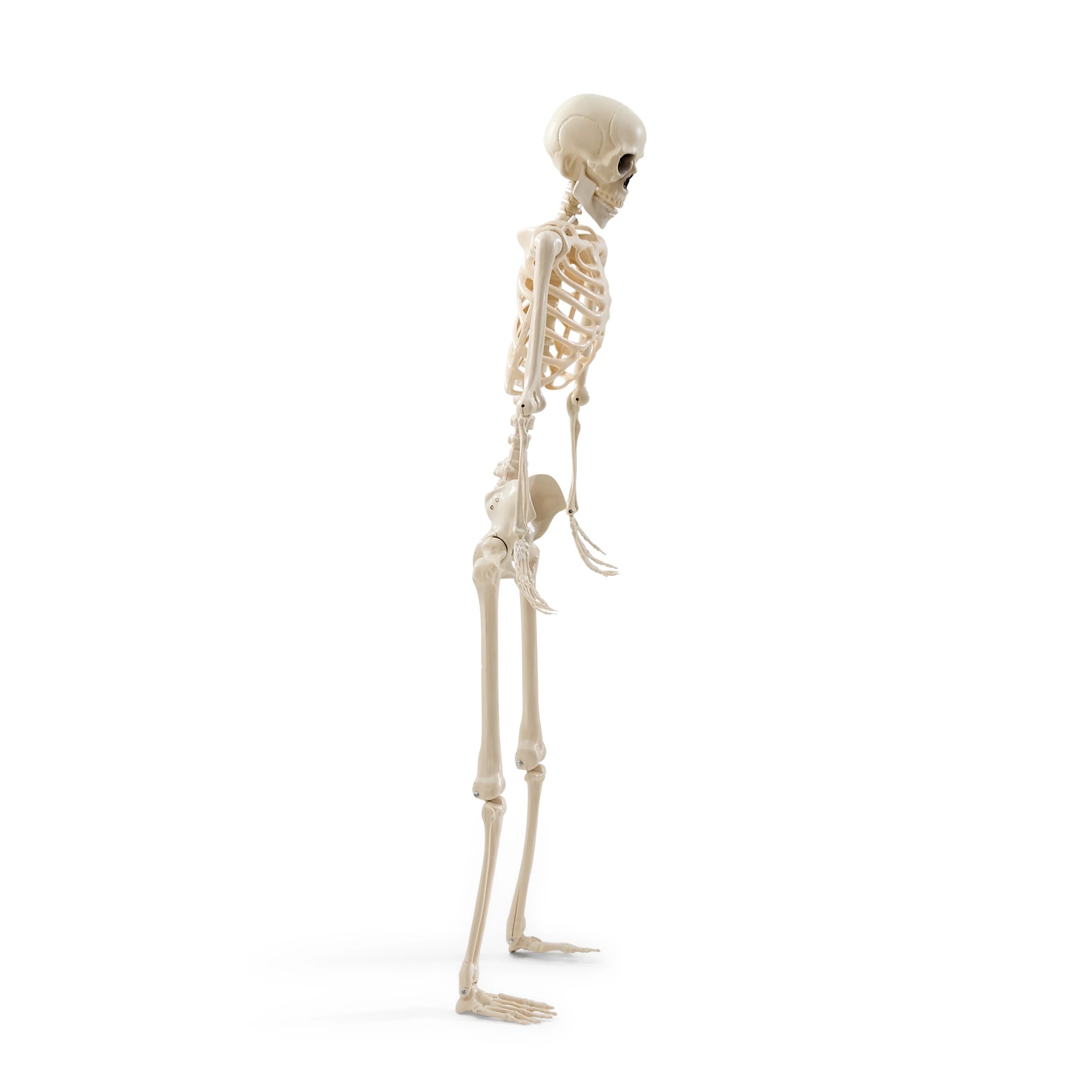 5 Battery Operated LED Light Up Poseable Skeleton, 5 of 9