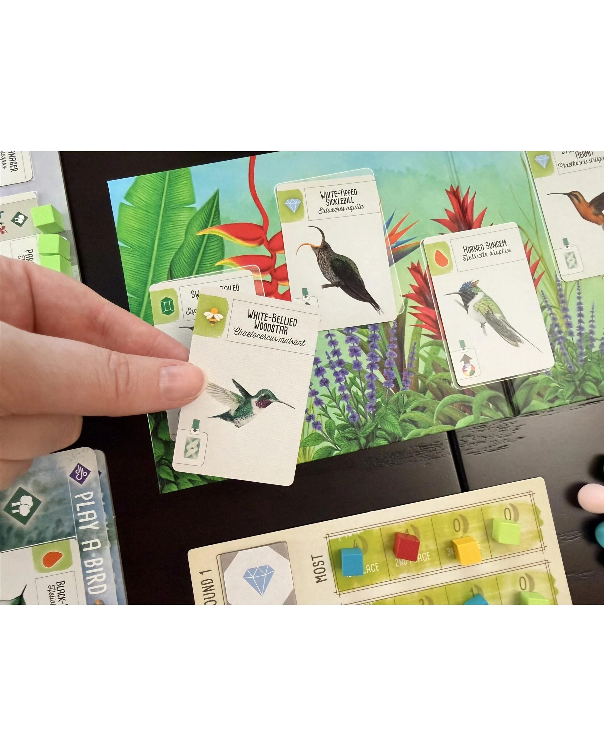 5 Wingspan Americas Expansion Board Game, 5 of 10