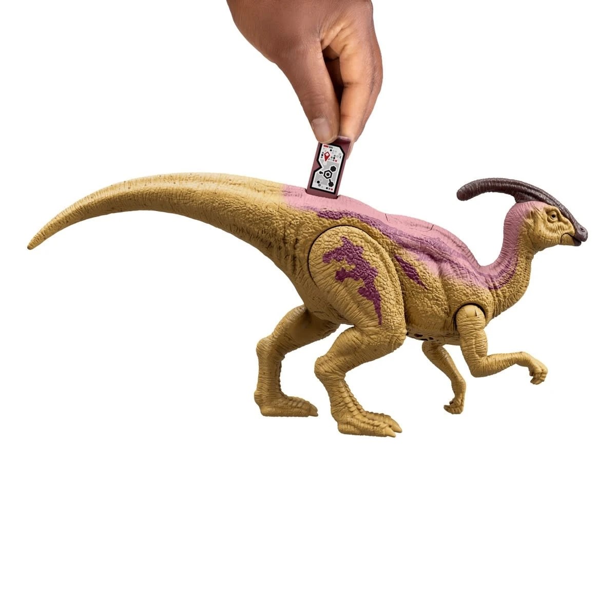 6 Jurassic World Epic Evolution Wild Roar Dinosaur Figure - Assorted, 6 of 8