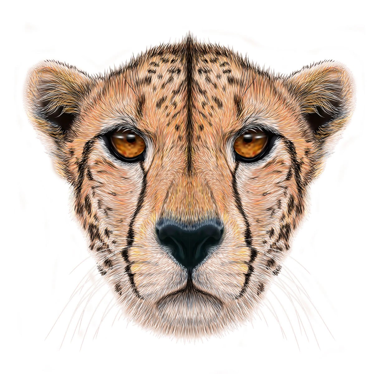 3 Puzzle Master 135 Piece Wooden Jigsaw Puzzle, Cheetah, 3 of 5