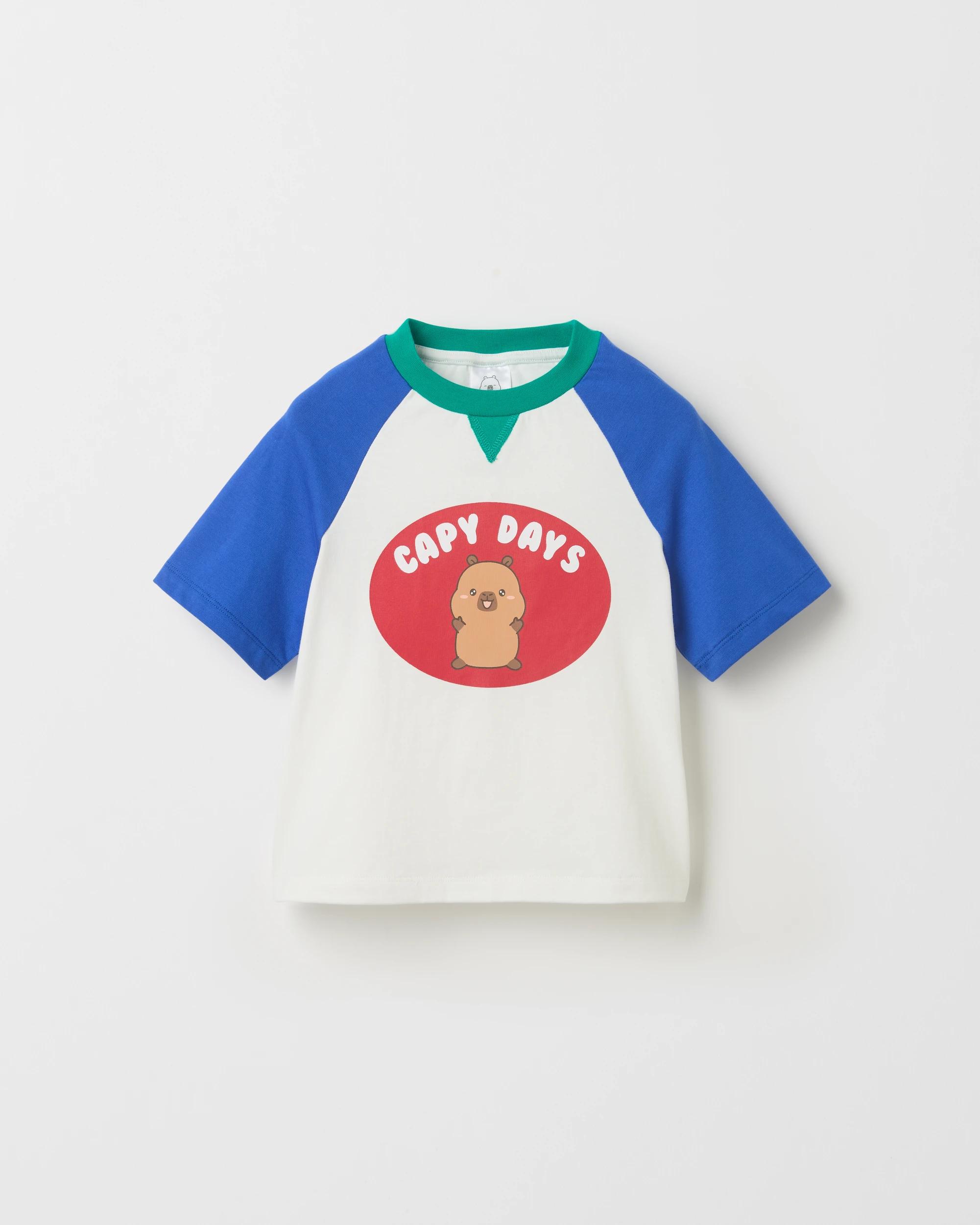 1 CapyFun Australian Cotton Raglan Sleeve Oversized Heavyweight T-Shirt MULTI, 1 of 3