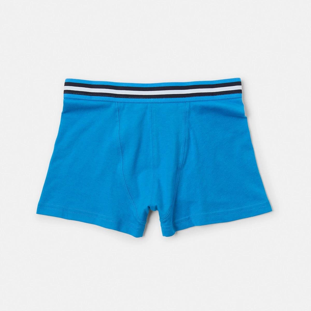 3 7 Pack Attached Elastic Trunks BLUES STRIPE, 3 of 10