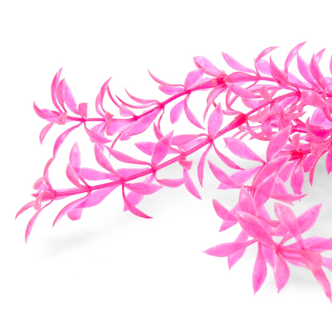 2 6 Pack Aquarium Bright Plants - Small, 2 of 10