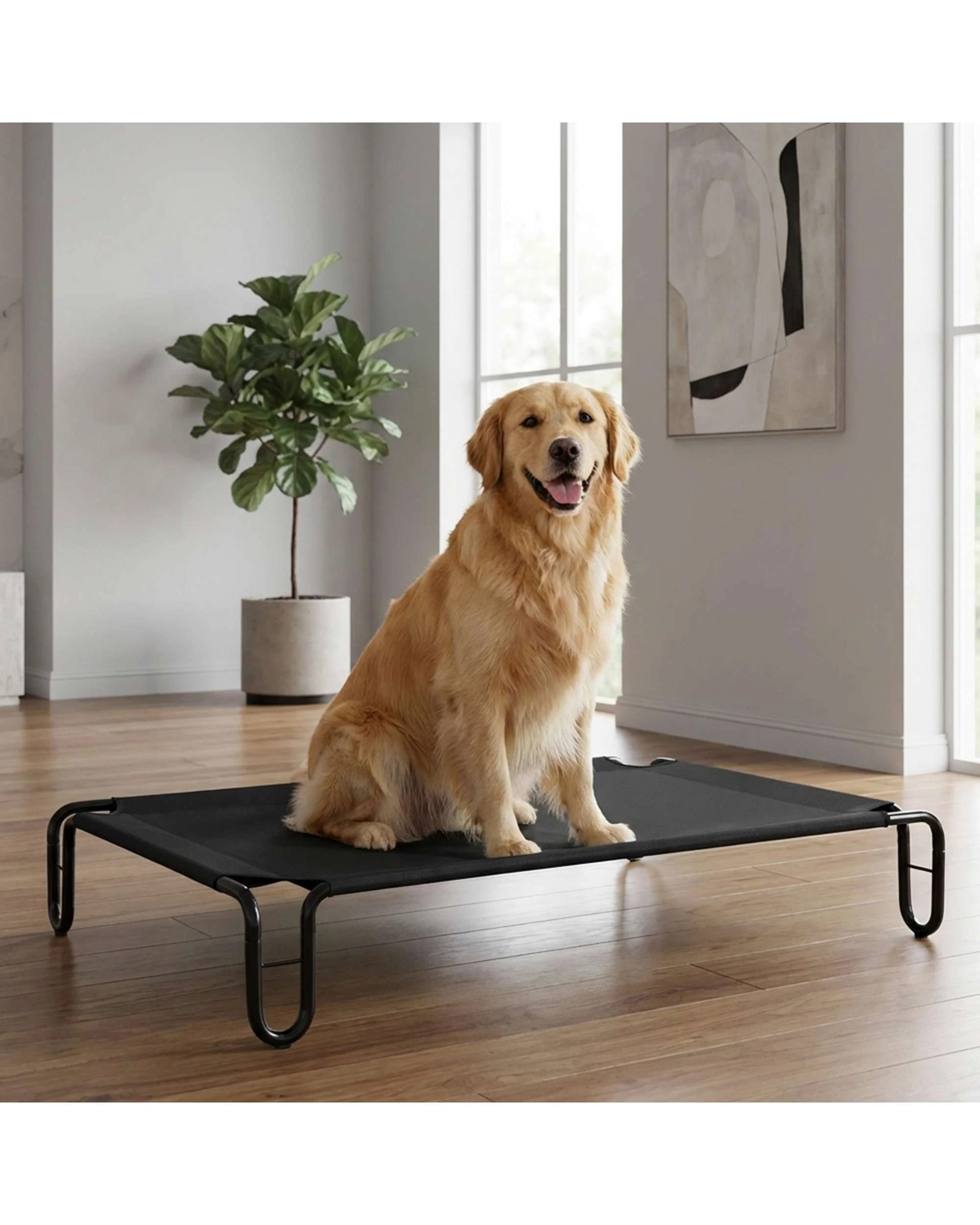 3 Advwin Elevated Pet Bed, 3 of 8