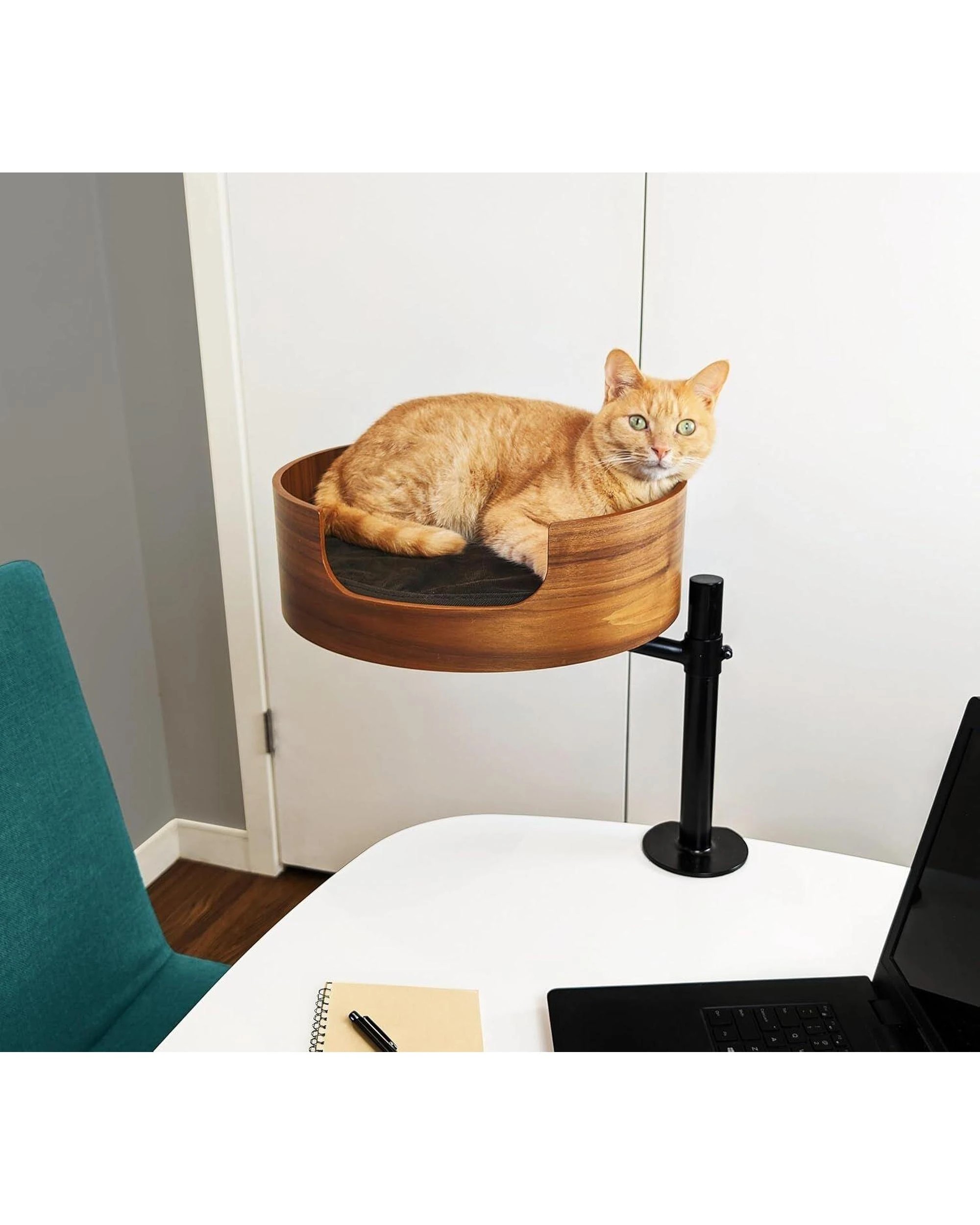 4 Desk Nest Cat Bed Space-Saving Elevated Bed for Cats Walnut, 4 of 10