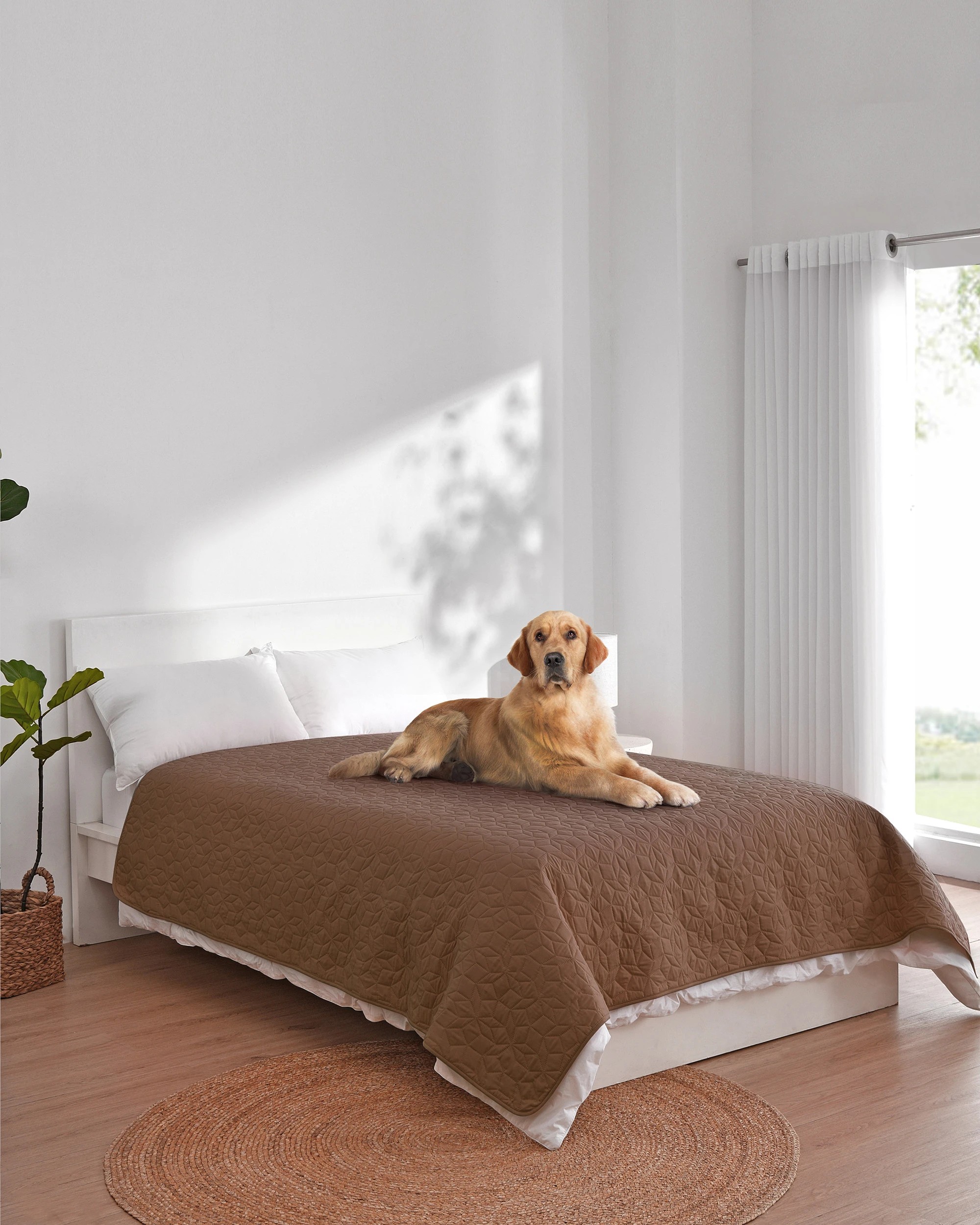 2 Charlie's Sofur Waterproof Dog Bed Cover Protector 208x208cm - Double/Queen - Espresso, 2 of 10