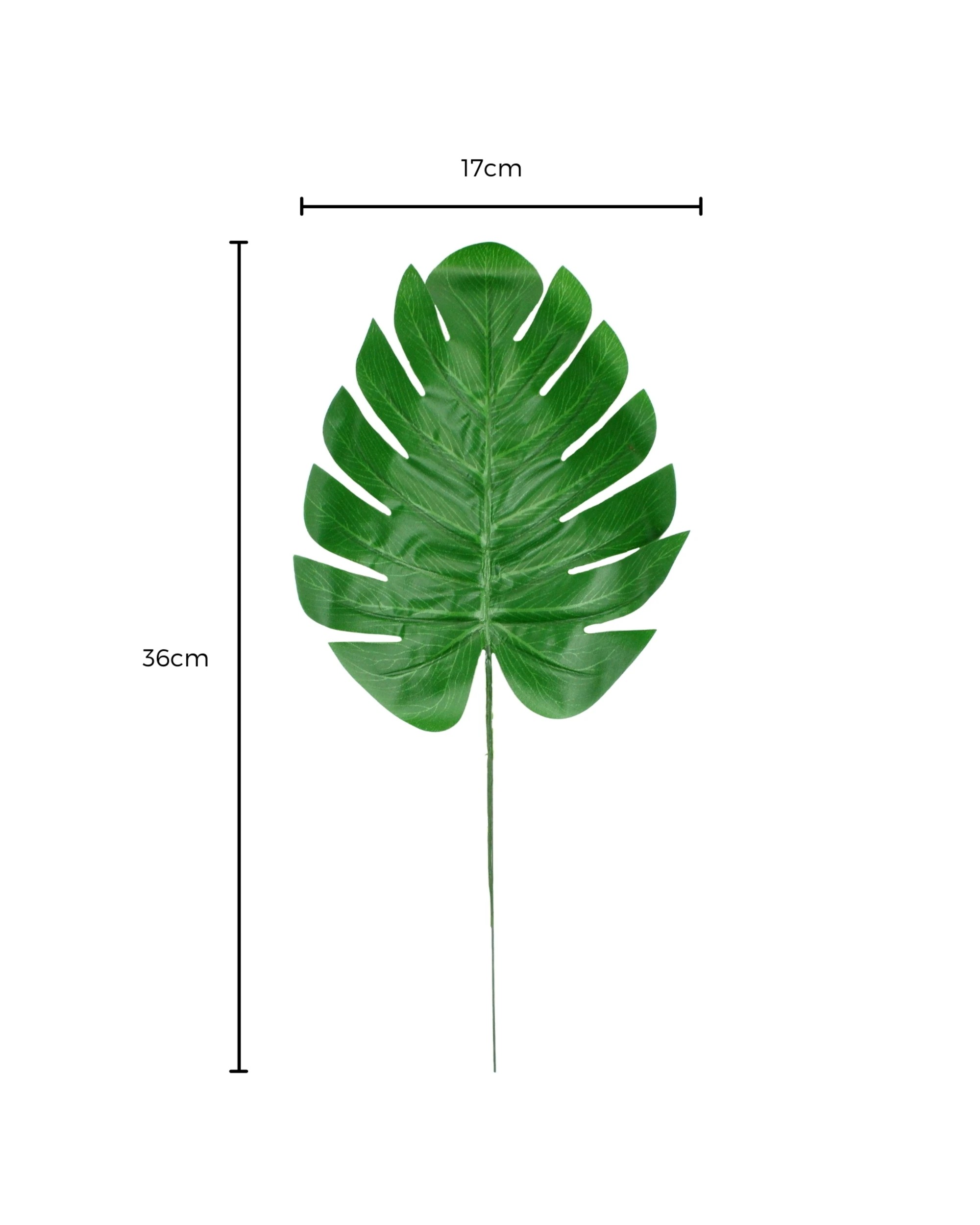 2 Fun Express Artificial Tropical Palm Leaves With Wire 20cm Pack of 10, 2 of 2