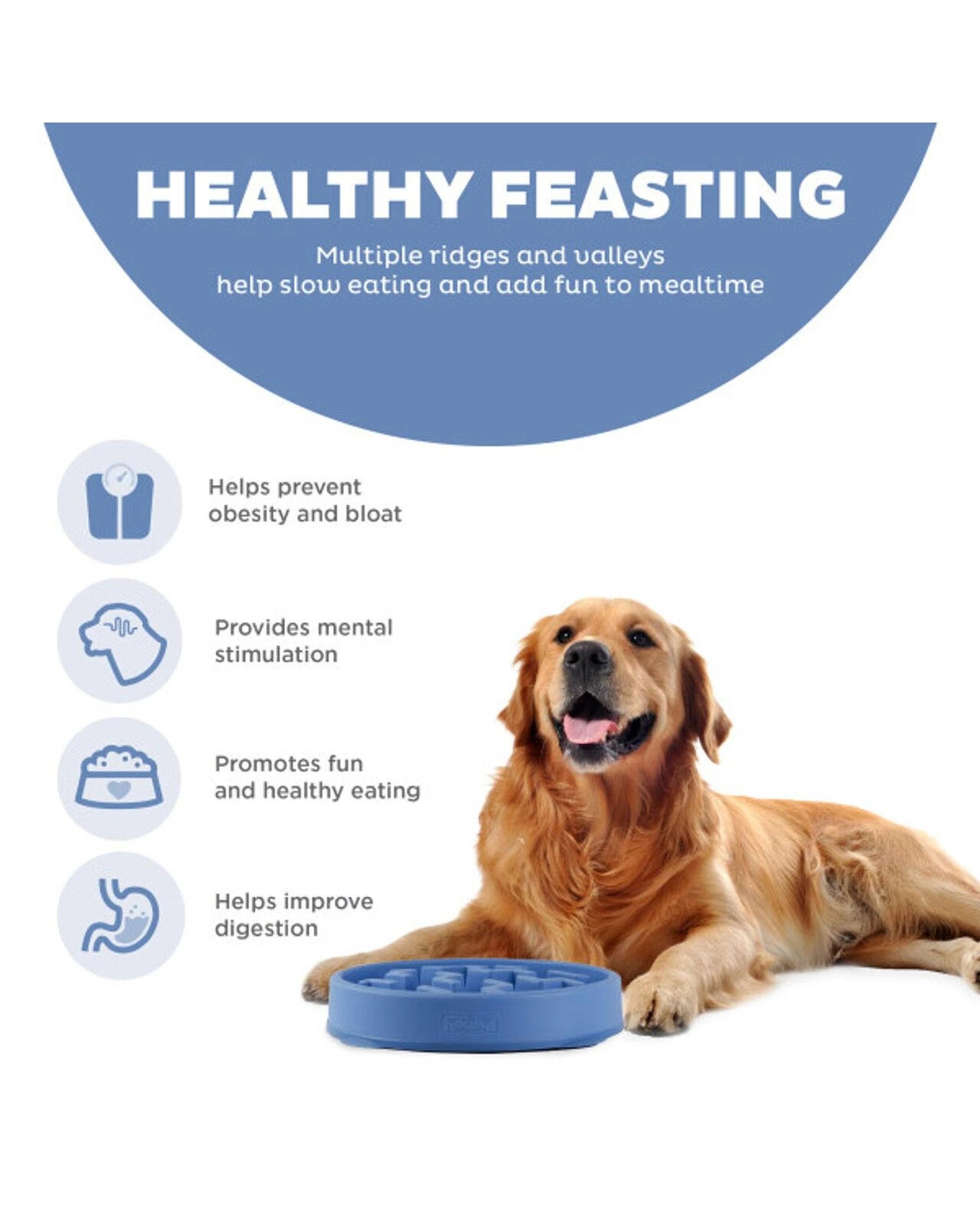 4 Outward Hound Fun Feeder Interactive Slow Bowl Notch for Dogs Blue Medium, 4 of 6