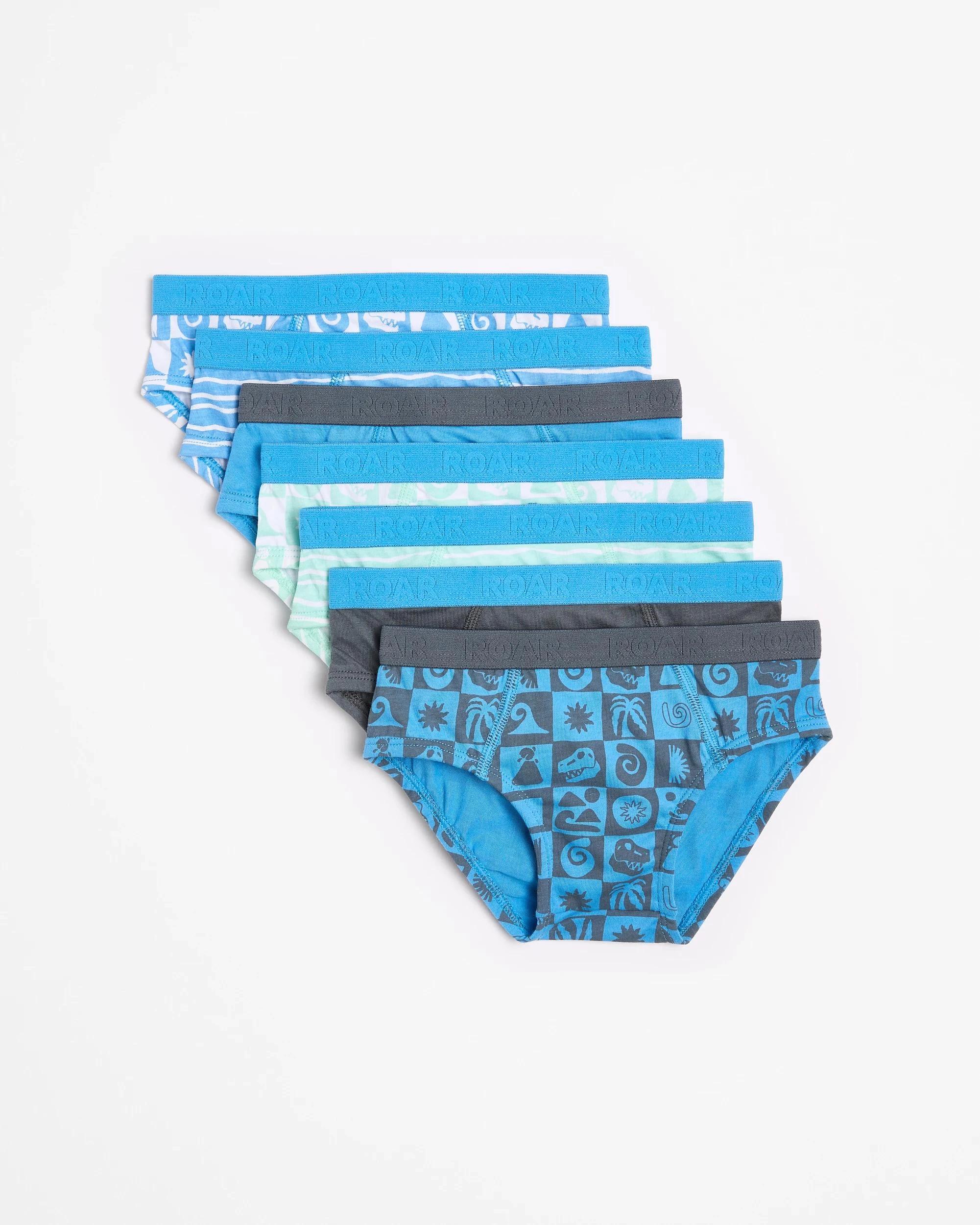 1 Maxx Younger Boys Briefs 7 Pack FOSSIL CHECK, 1 of 2