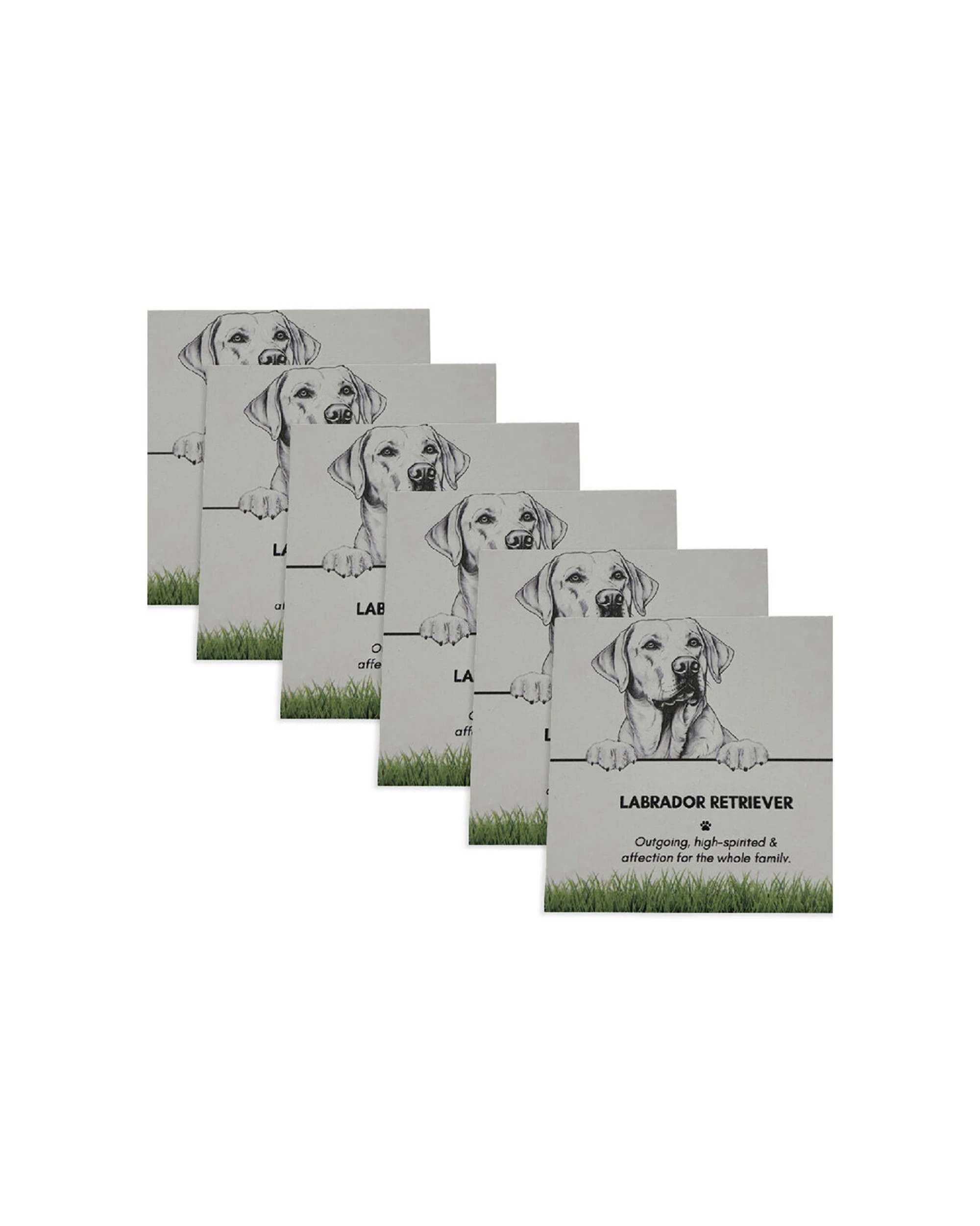 1 Bramble Bay 6PK Pet Kitchen Coaster Labrador Retriever Dog Lover Set - Multi, 1 of 2