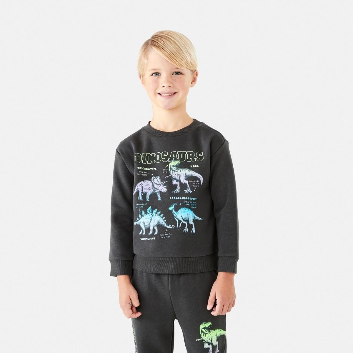 1 Print Crew Neck Sweatshirt Gry Skdino, 1 of 8