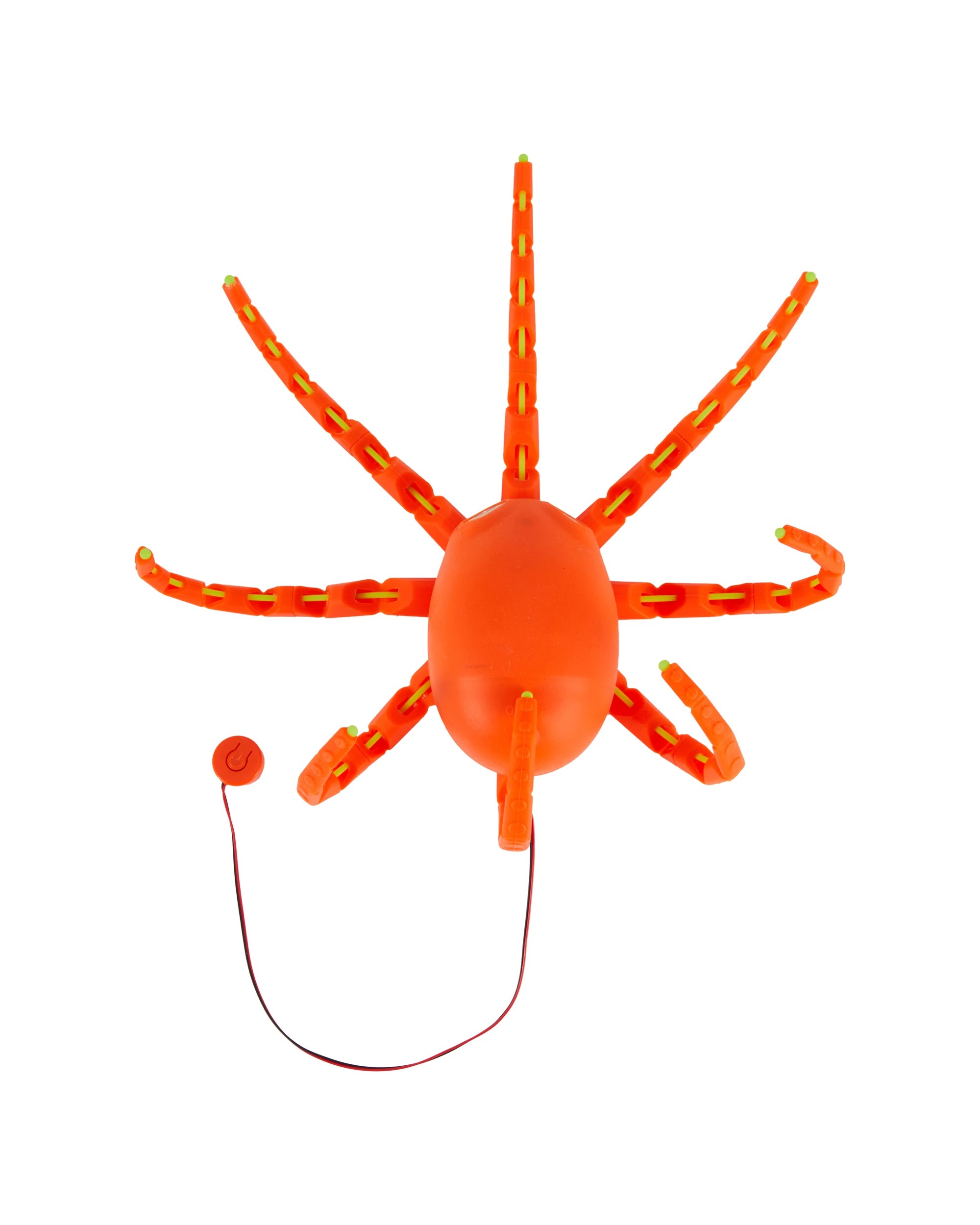 5 Octopus, 5 of 9