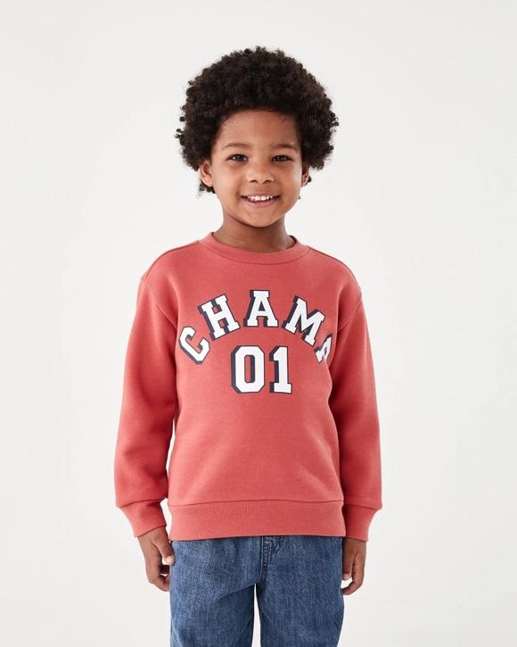 Print Crew Neck Sweatshirt