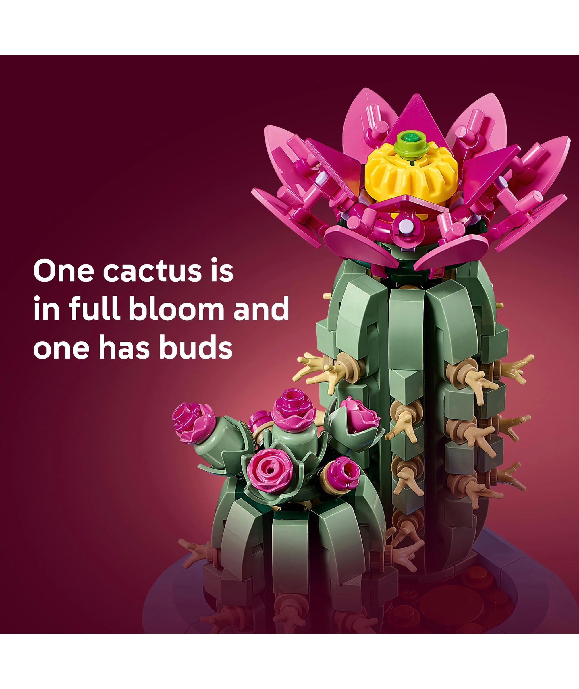 5 LEGO Botanicals Flowering Cactus 11509, 5 of 10