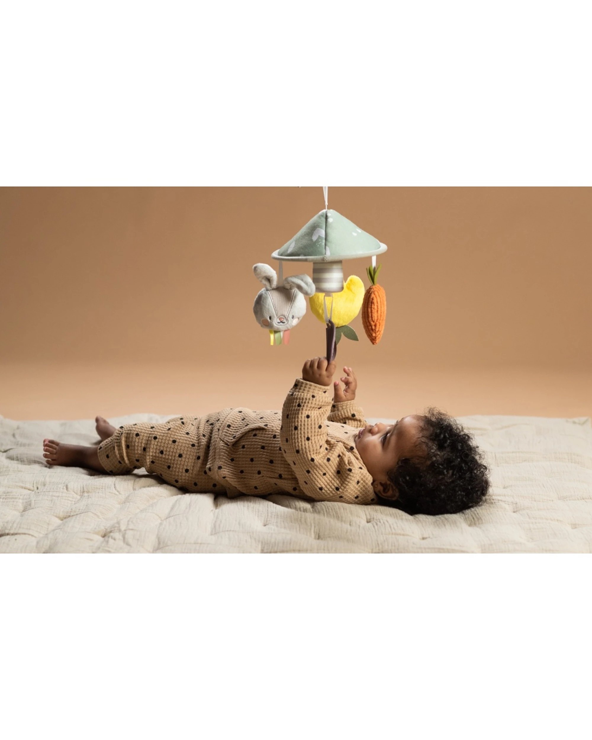 3 Taf Toys Garden Pram Mobile Soft Plush Hanging Toy Extra Large Clip Attachment - Multi, 3 of 6