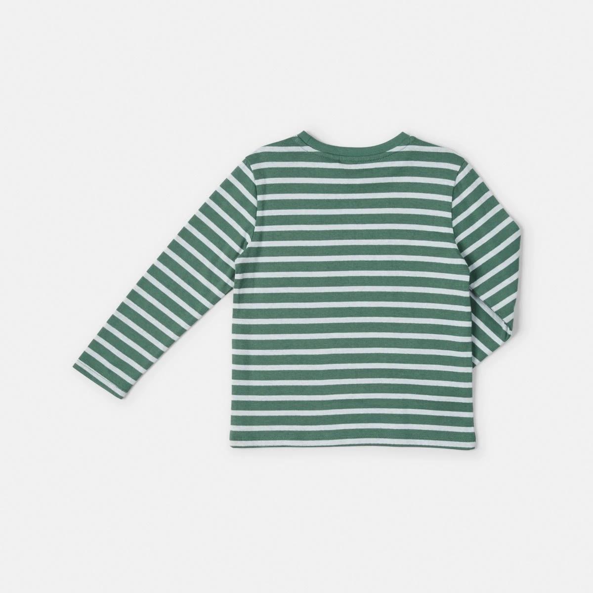 9 Double Cloth Stripe T-shirt Grn Stripe, 9 of 9
