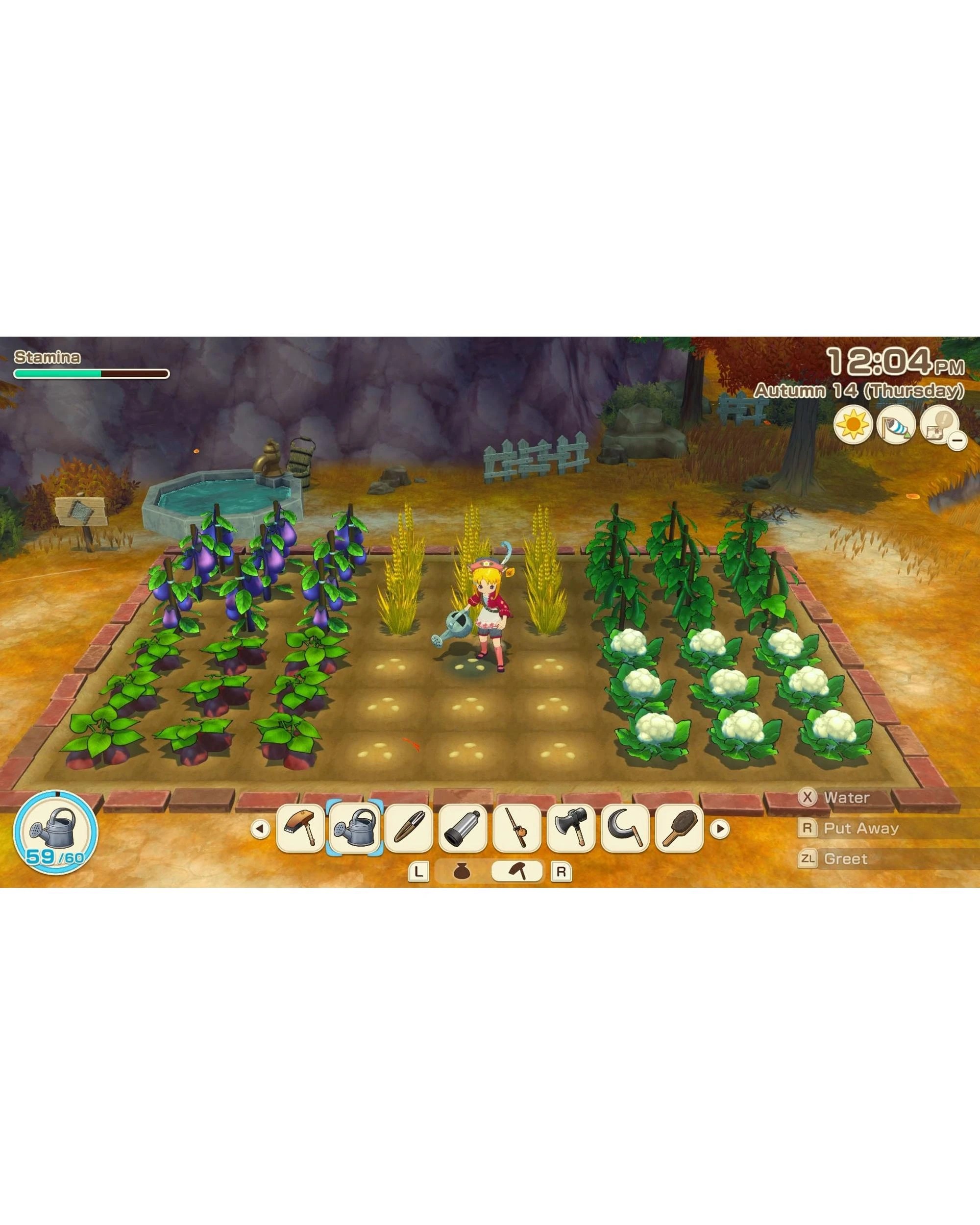 7 Story of Seasons: Grand Bazaar - Switch, 7 of 7