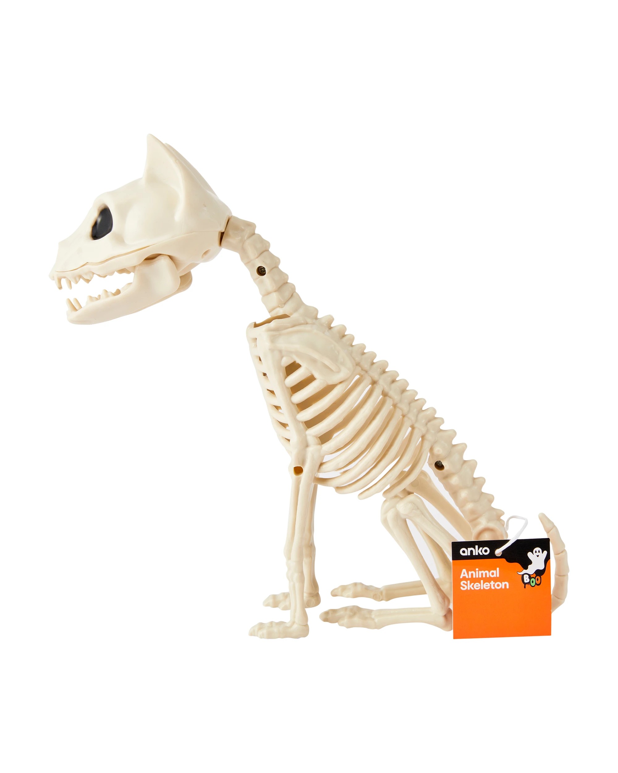 6 Animal Skeleton, 6 of 6