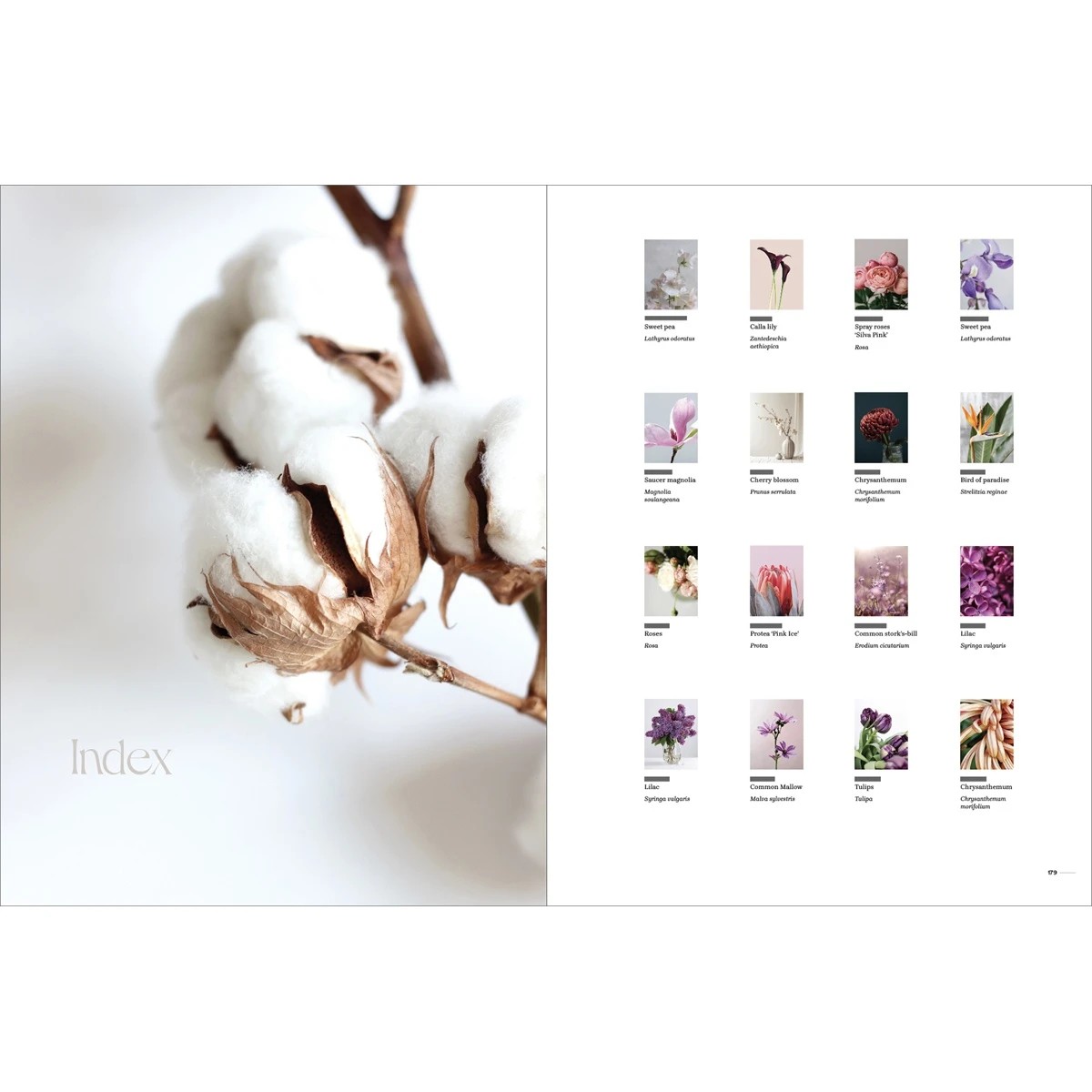 2 Flower - Book, 2 of 6