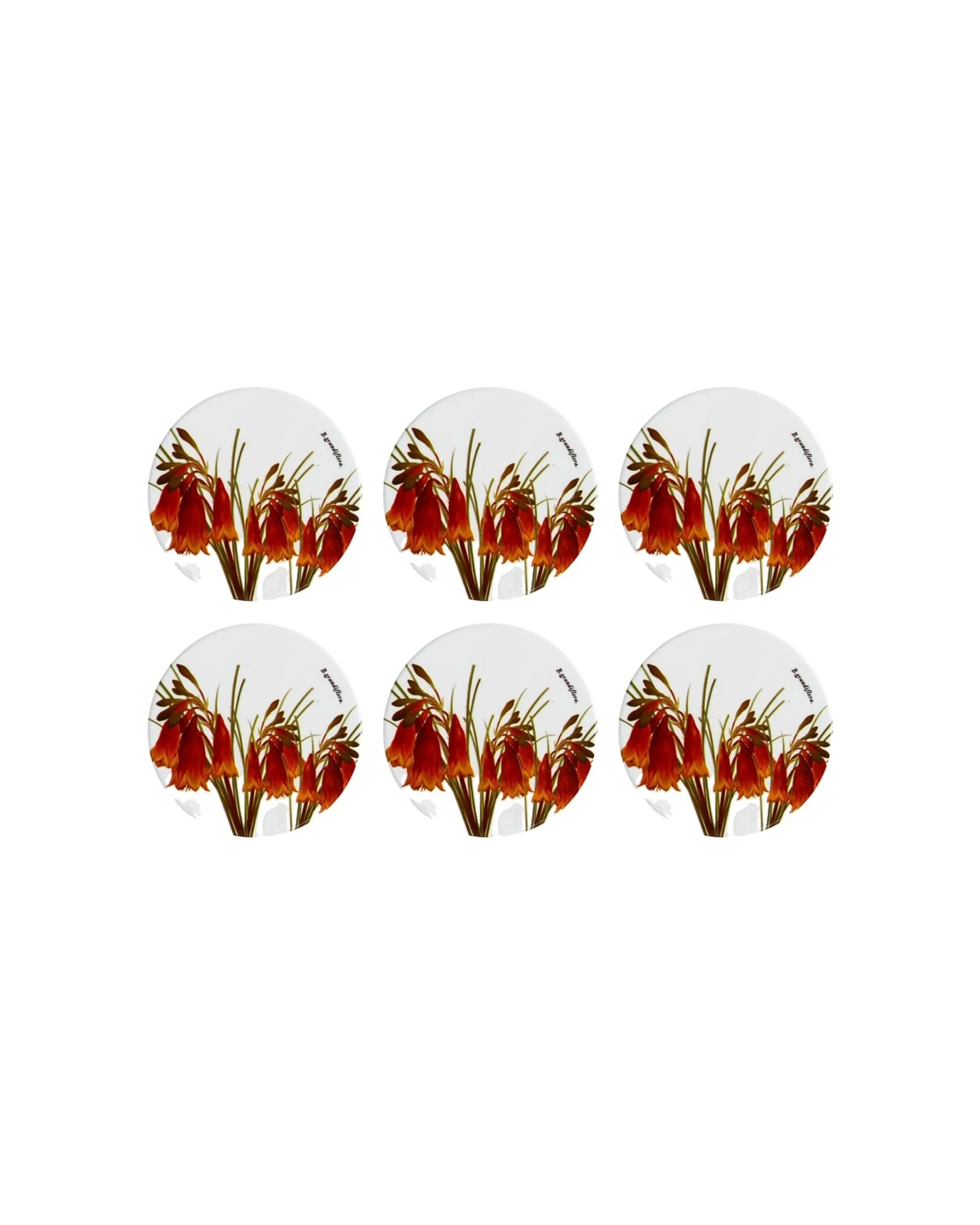 1 Maxwell & Williams 6PK Royal Botanic Garden Ceramic Coaster 9.5cm - Xmas - Multi, 1 of 1
