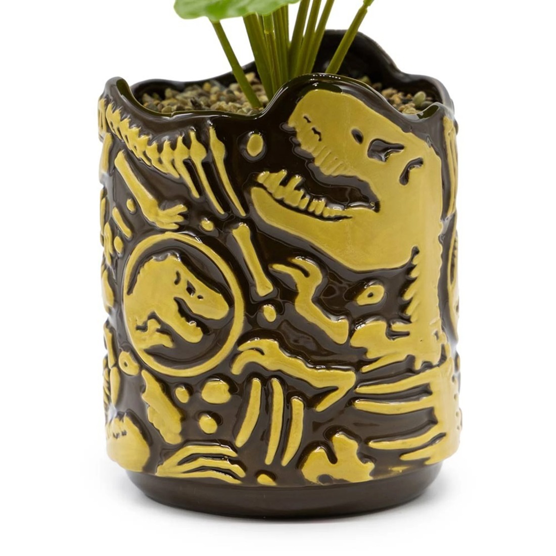 3 Jurassic Park - Fossils Planter Pot with Plant - Brown, 3 of 4