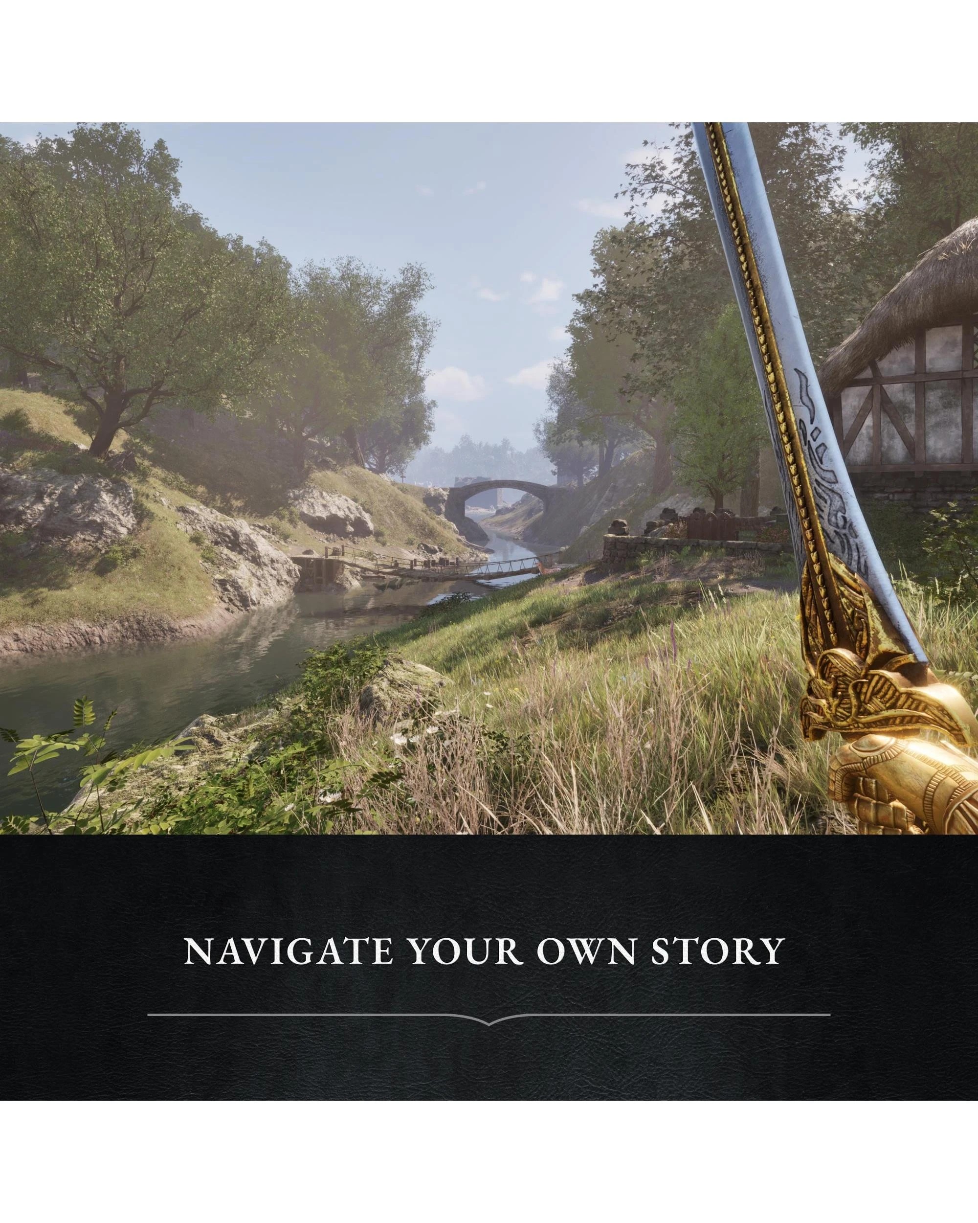 4 The Elder Scrolls IV: Oblivion Remastered Deluxe Edition - PS5, 4 of 6