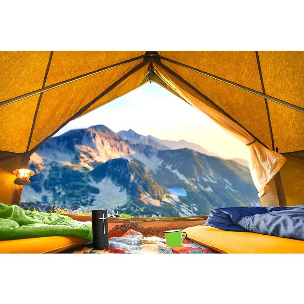 6 Ultimate Ears Boom 4 Black, 6 of 6