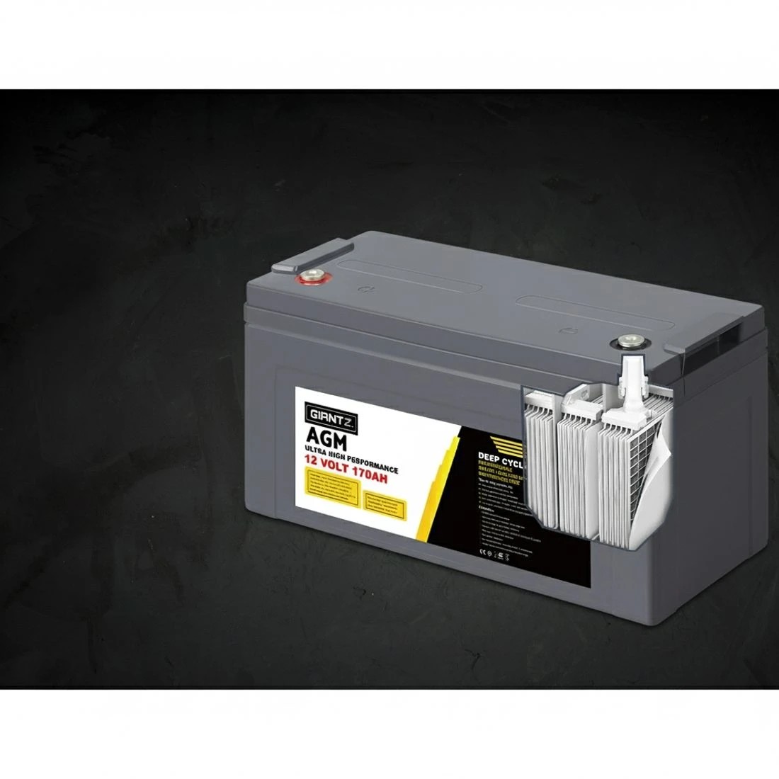 4 Giantz AGM Deep Cycle Battery 12V 170Ah Box Portable Solar Caravan Camping - Grey, 4 of 6